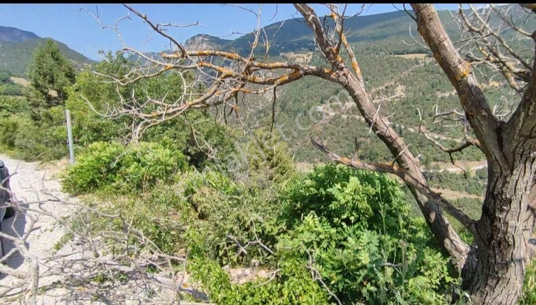 Bursa Keles Gelemiçte Asfalt Yola Cephe, Vadi Manzaralı Satılık - Görsel 3