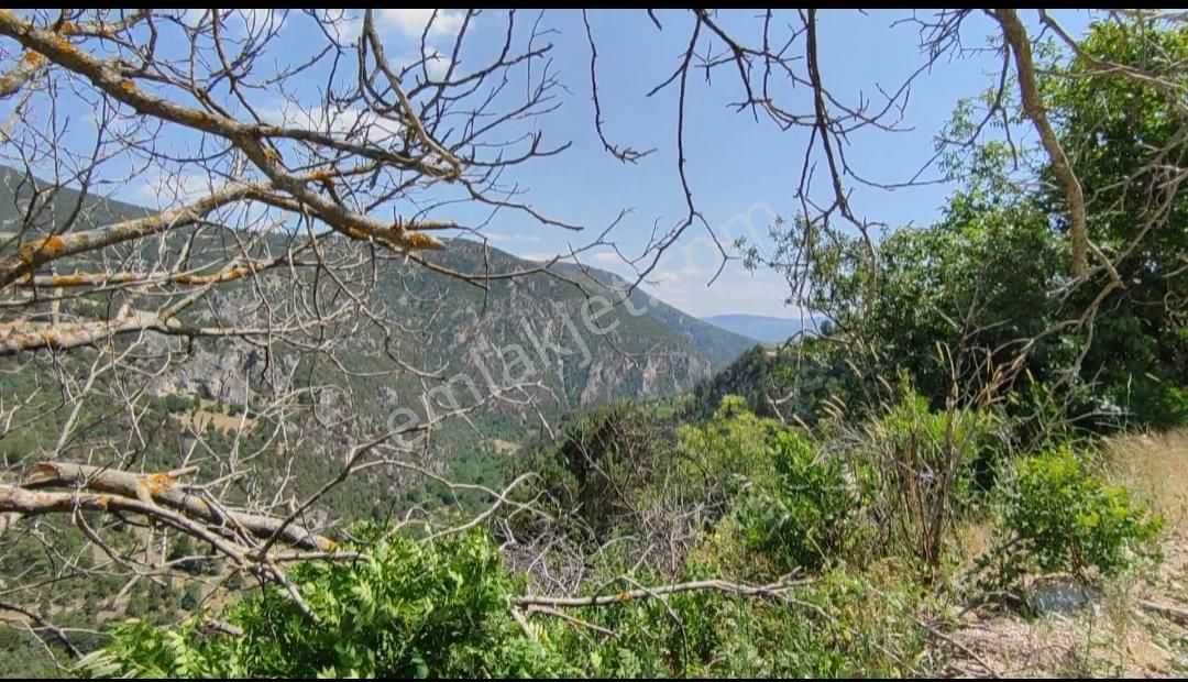 Bursa Keles Gelemiçte Asfalt Yola Cephe, Vadi Manzaralı Satılık - Görsel 4