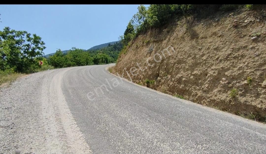 Bursa Keles Gelemiçte Asfalt Yola Cephe, Vadi Manzaralı Satılık - Görsel 2