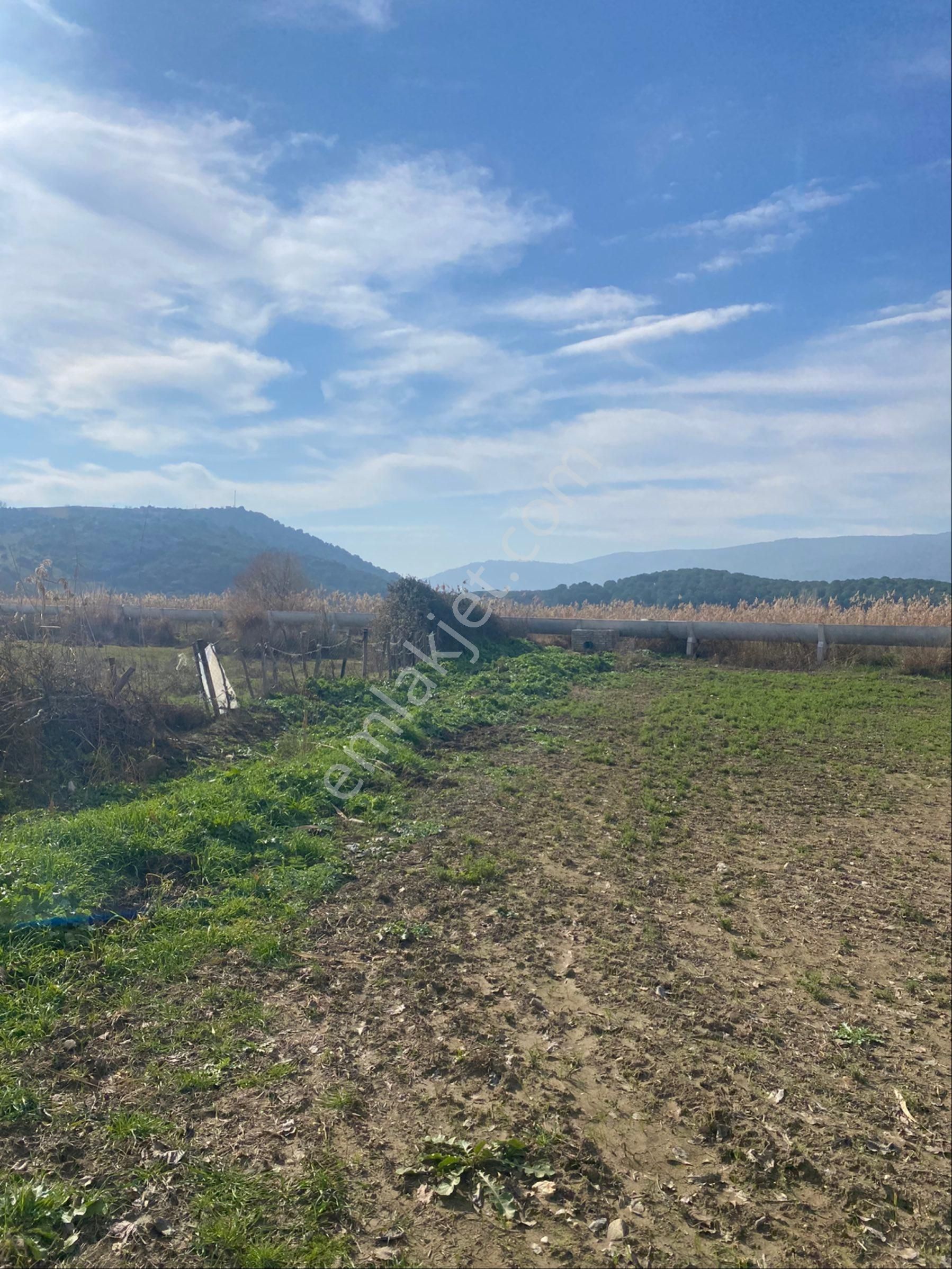 Dalama Kırıklar Da Satılık Tarla - Görsel 2