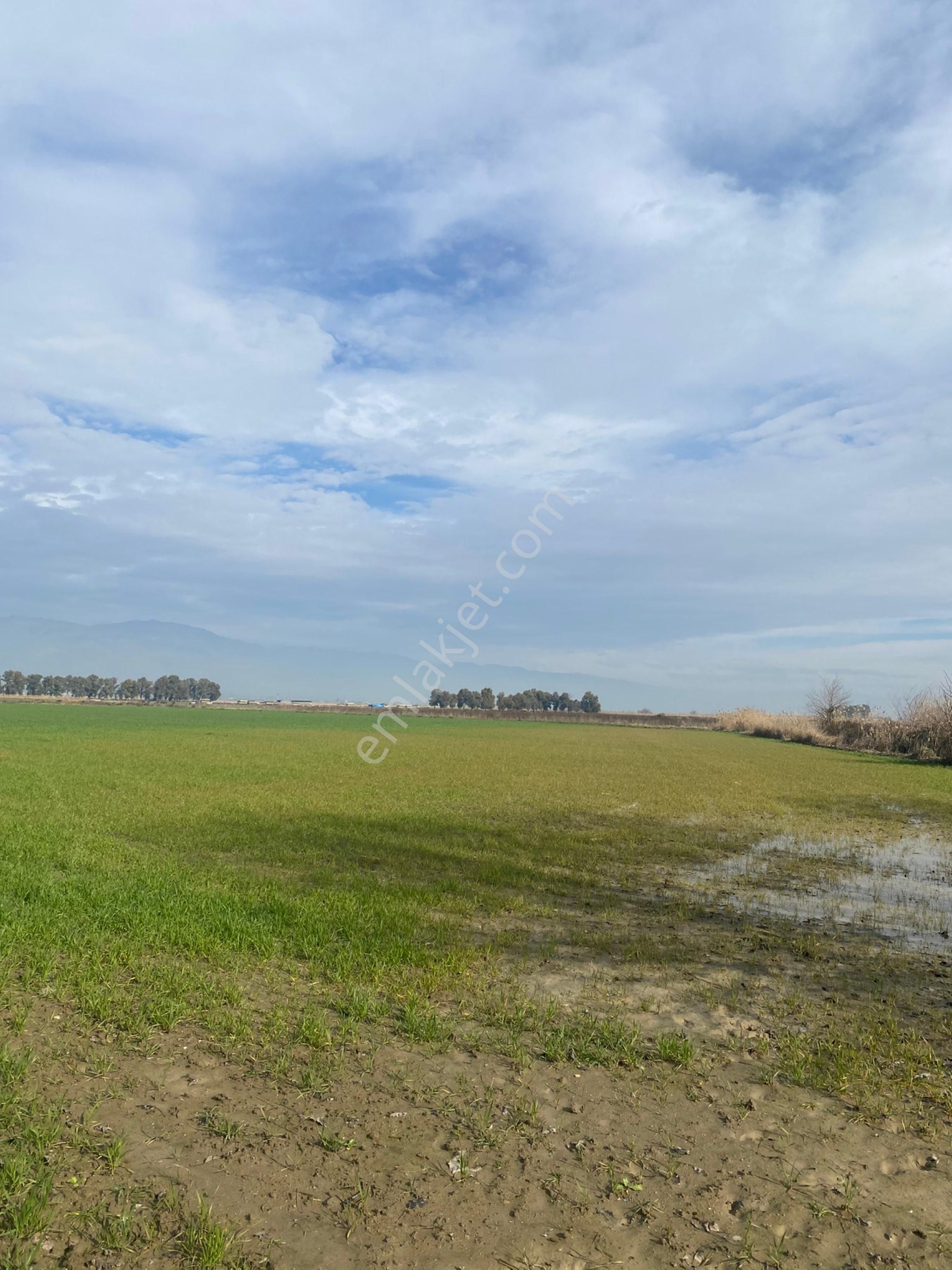 Dalama Sulukesikde Satılık Tarla