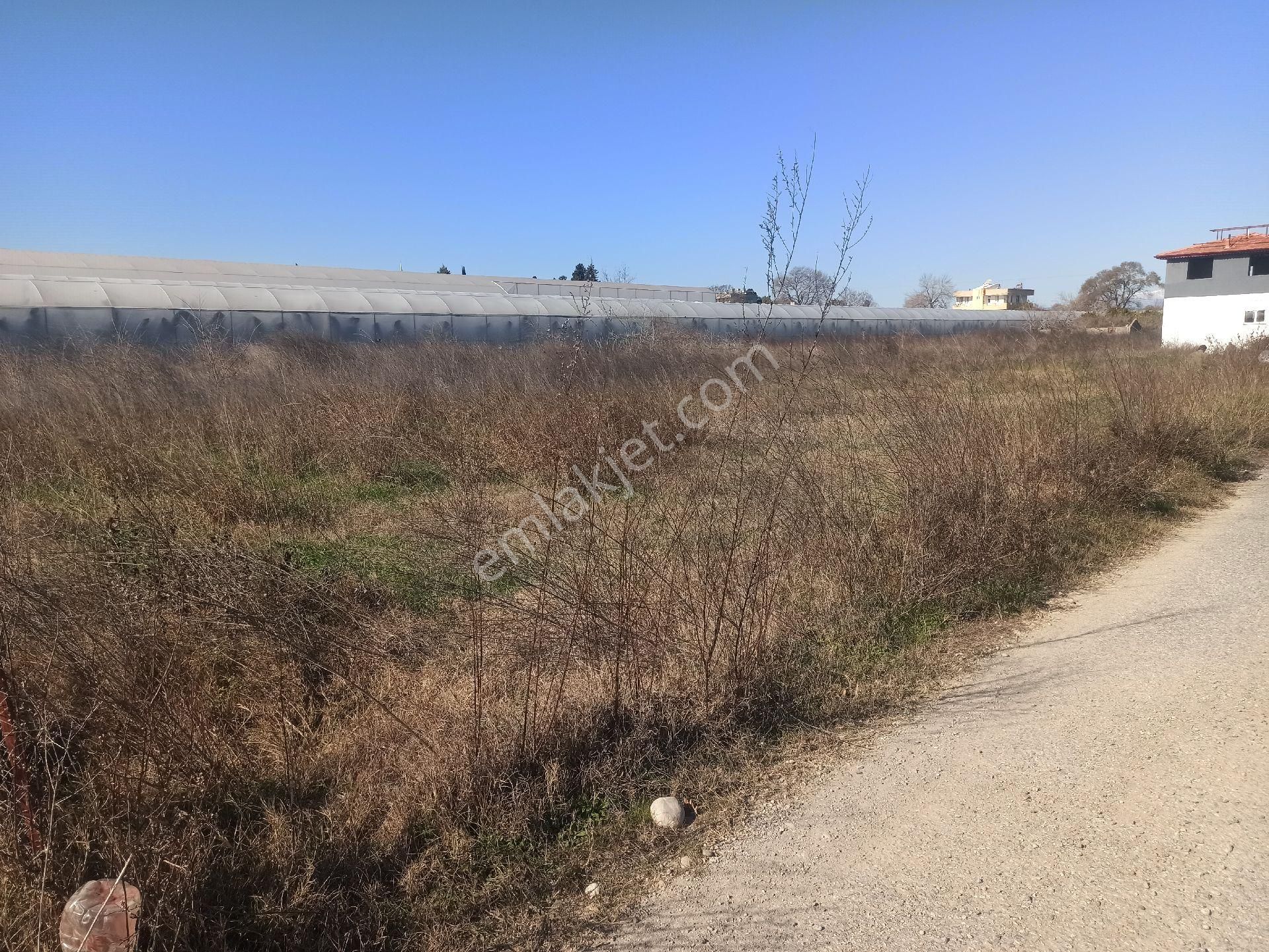 İdamax'tan Doğançam İlkokulu'na Yakın Yola Cephe Tarla - Görsel 3