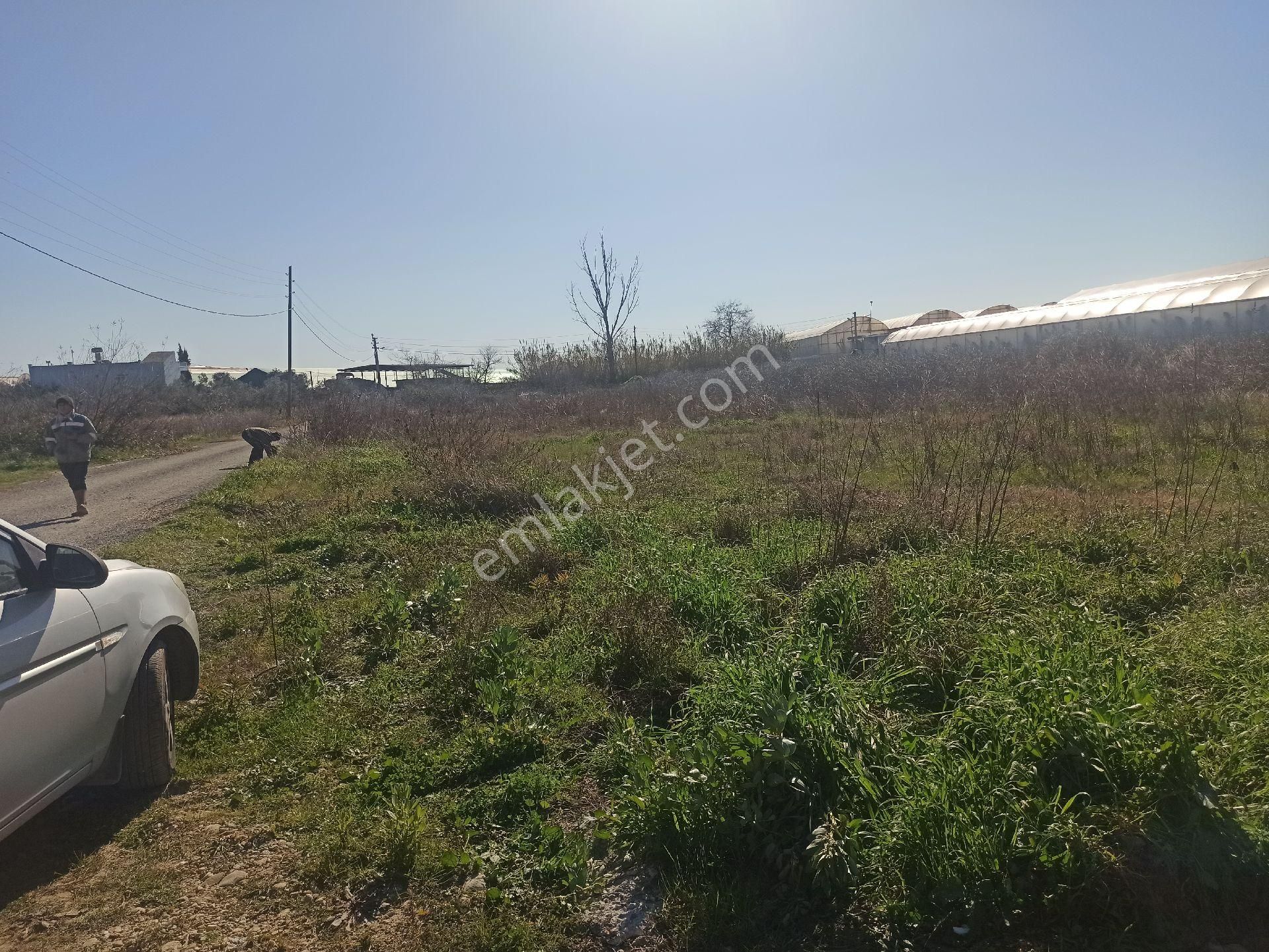 İdamax'tan Doğançam İlkokulu'na Yakın Yola Cephe Tarla - Görsel 5