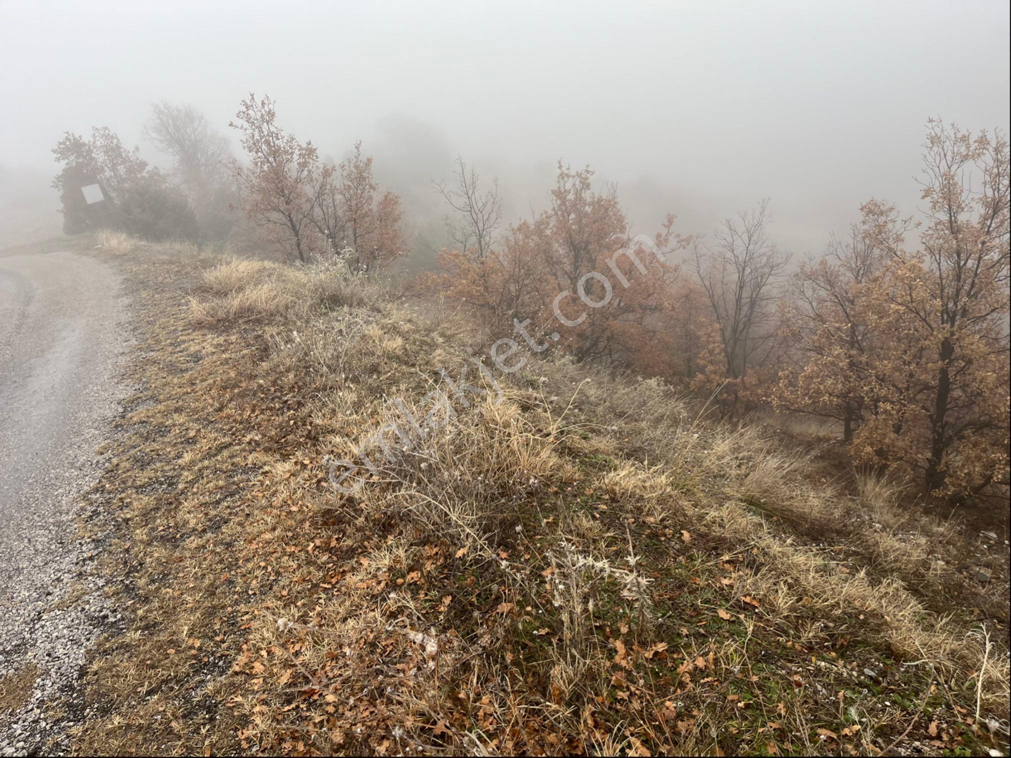 Çorum Osmancık Sütlüce Köyü Ana Yol Üzeri Sahibinden Satılık Tarla - Görsel 14