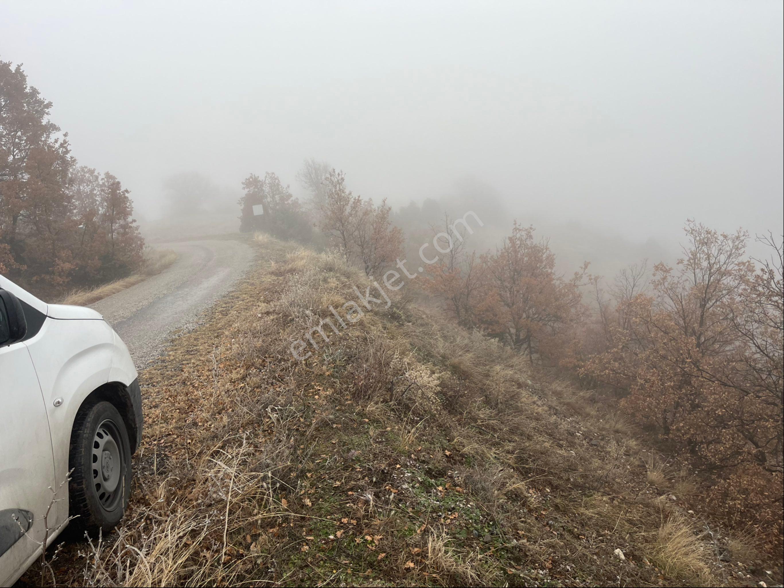 Çorum Osmancık Sütlüce Köyü Ana Yol Üzeri Sahibinden Satılık Tarla - Görsel 3
