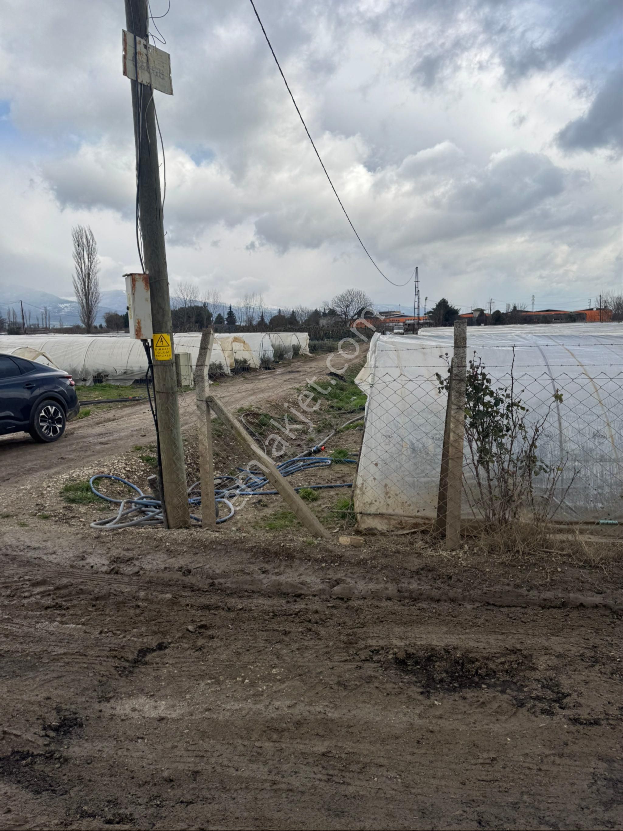 Satılık Kivi Bahçesi - Görsel 18