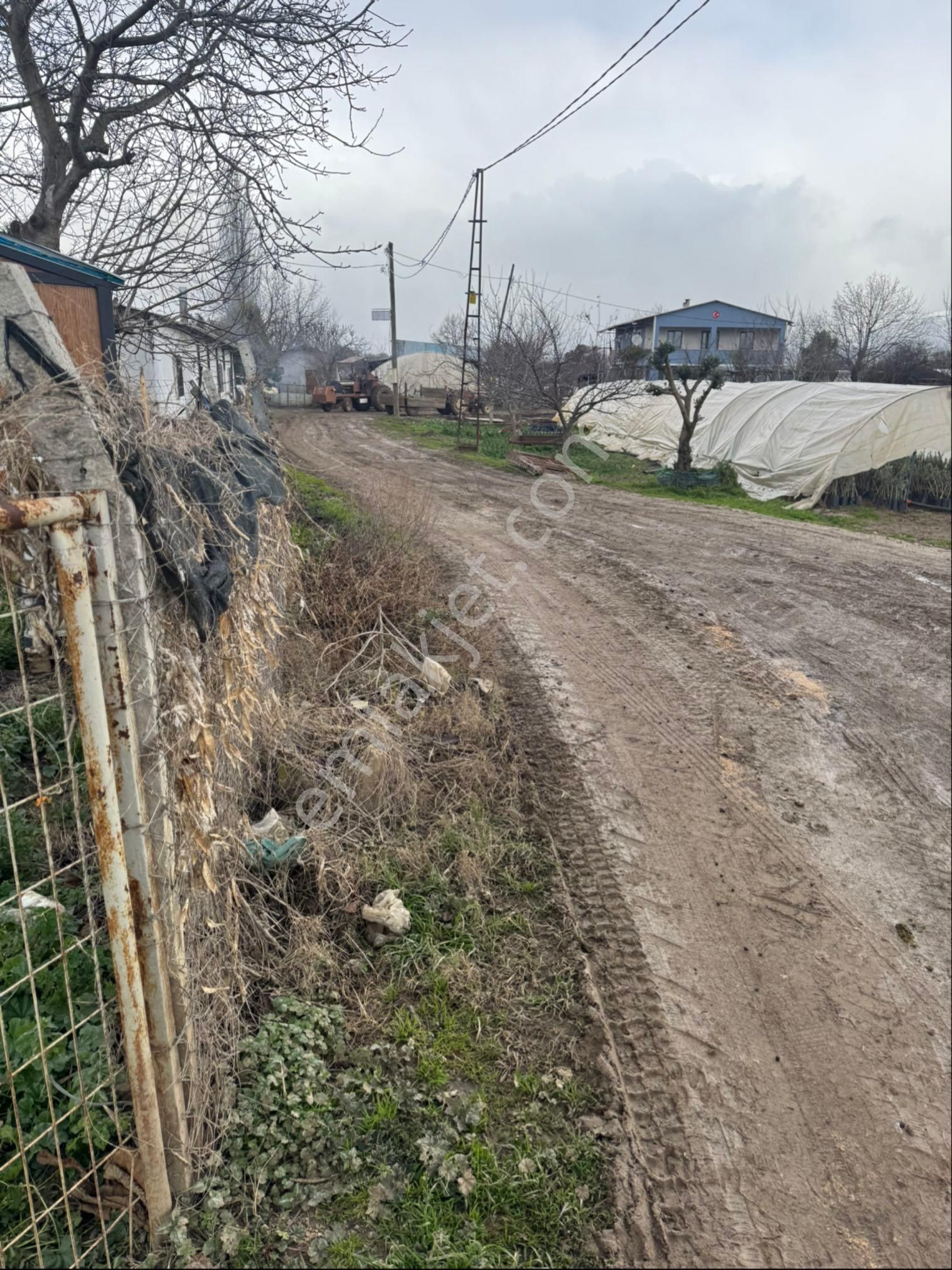 Satılık Kivi Bahçesi - Görsel 16