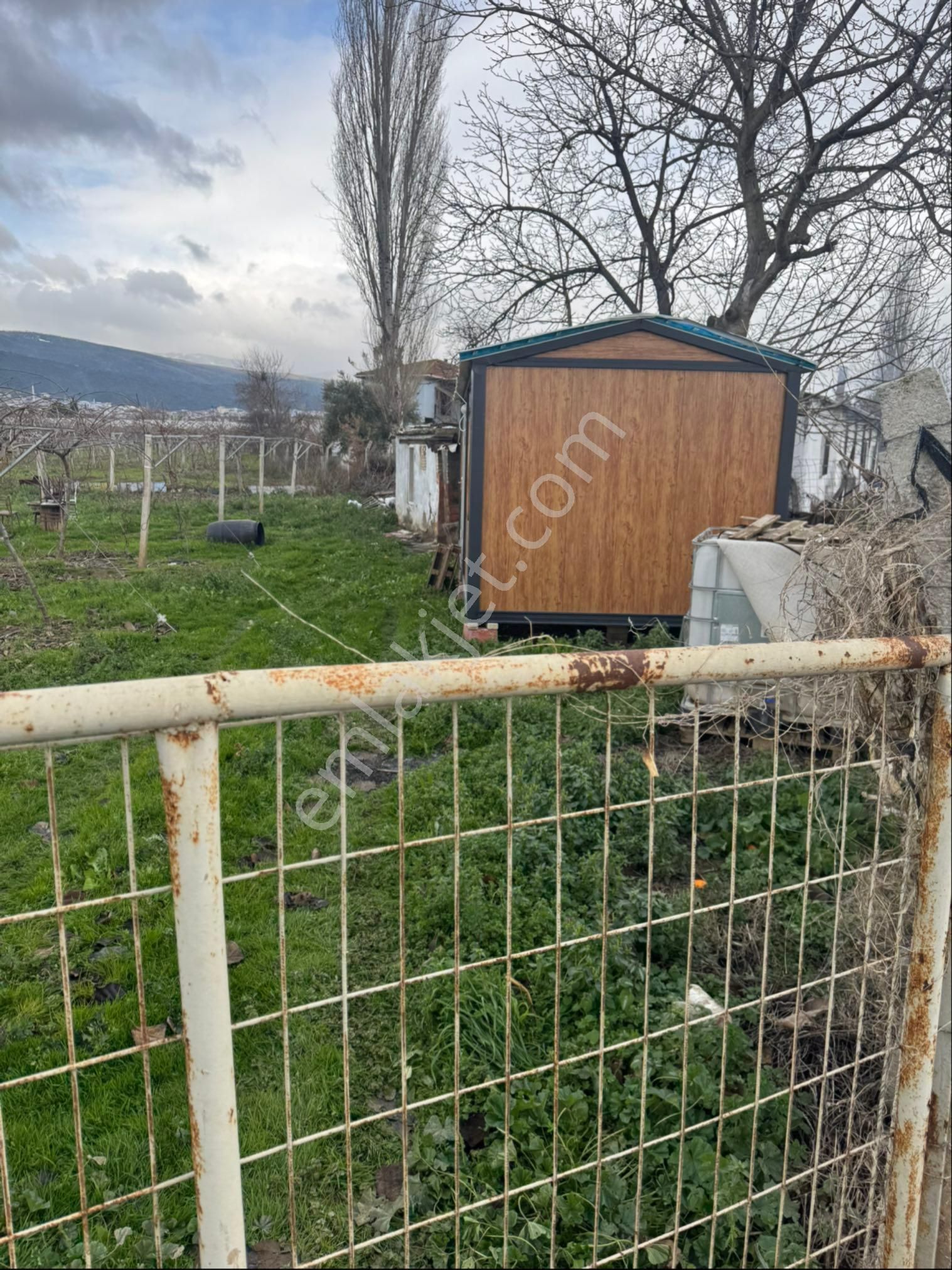 Satılık Kivi Bahçesi - Görsel 20