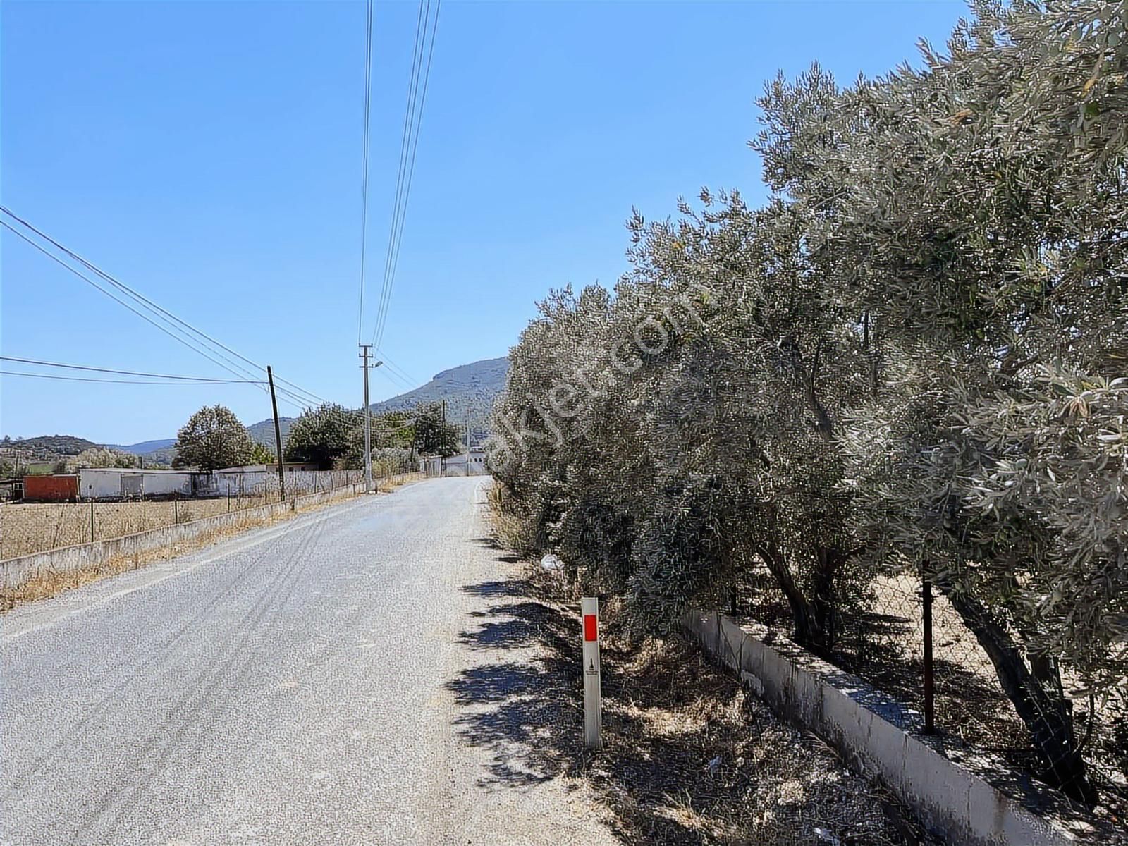 Seferihisar Yatırımlık 10 Dönüm Bağ,asfalt Yol Cepheli - Görsel 22