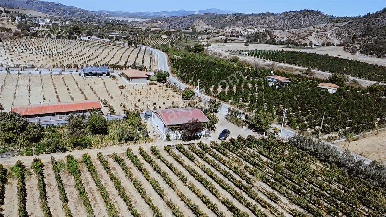 Seferihisar Yatırımlık 10 Dönüm Bağ,asfalt Yol Cepheli - Görsel 26