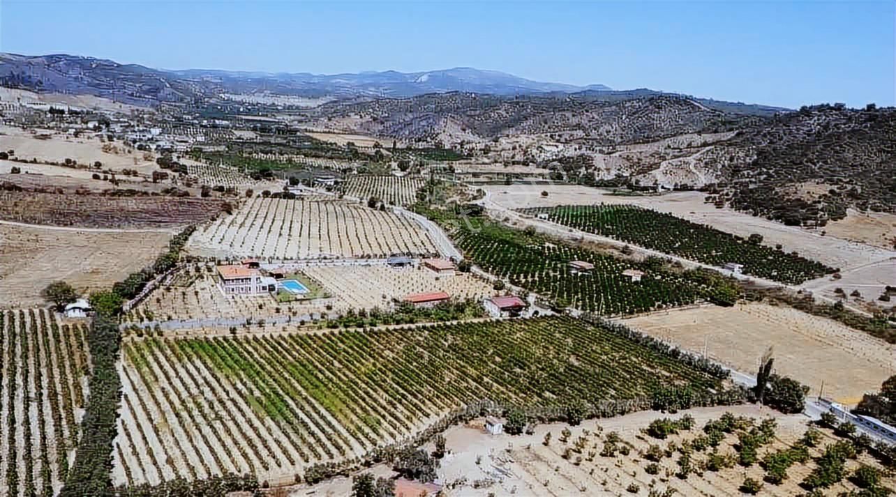 Seferihisar Yatırımlık 10 Dönüm Bağ,asfalt Yol Cepheli