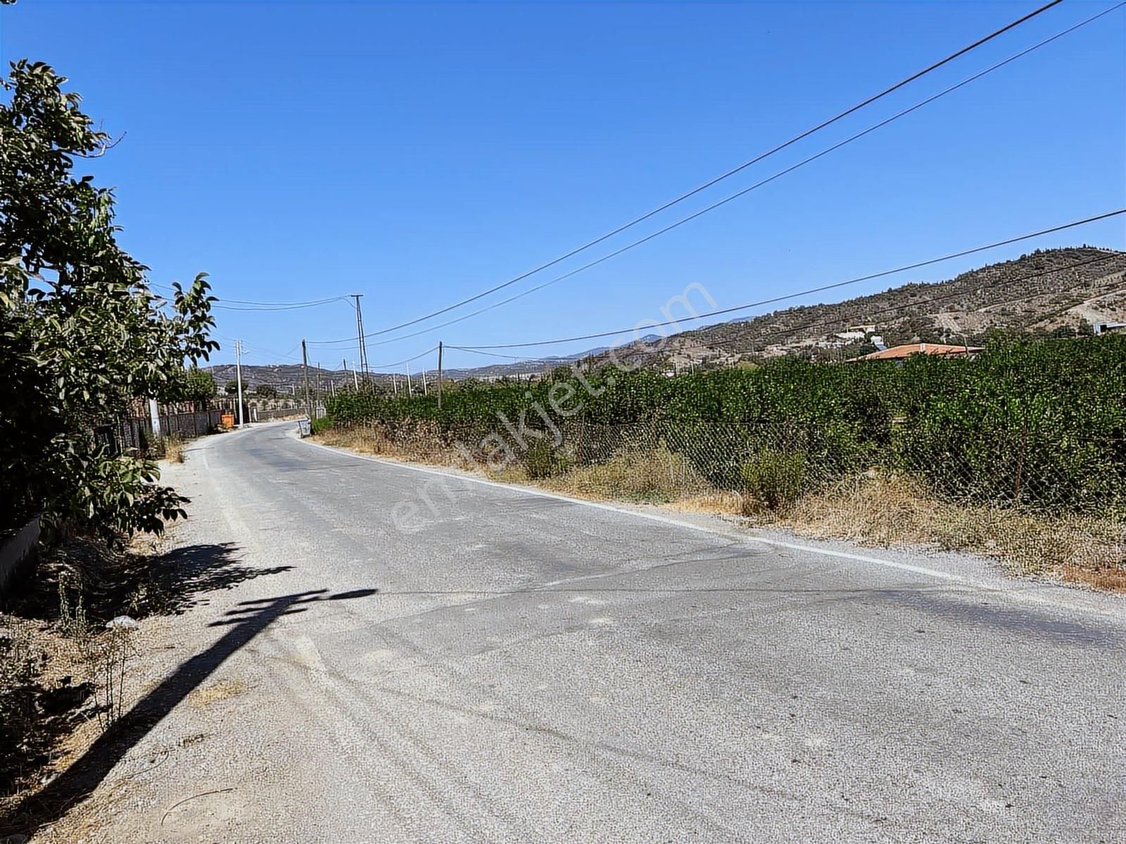 Seferihisar Yatırımlık 10 Dönüm Bağ,asfalt Yol Cepheli - Görsel 21