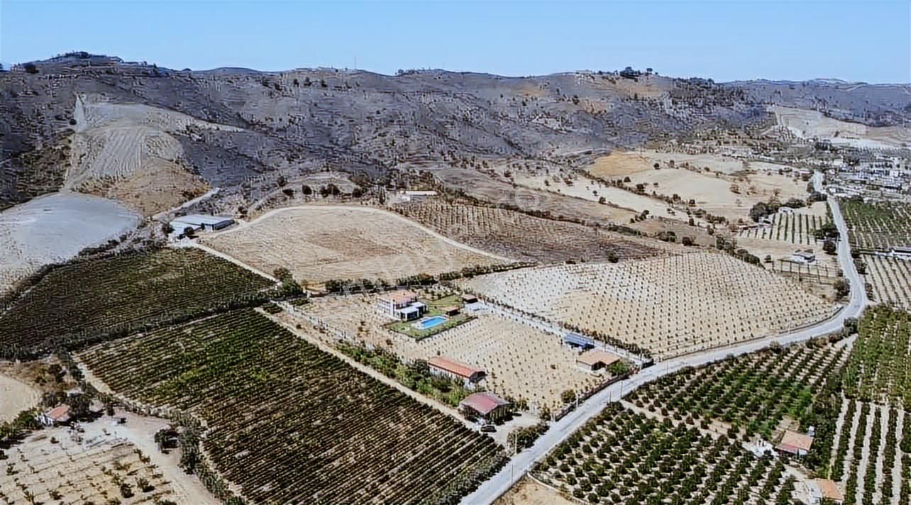 Seferihisar Yatırımlık 10 Dönüm Bağ,asfalt Yol Cepheli - Görsel 5