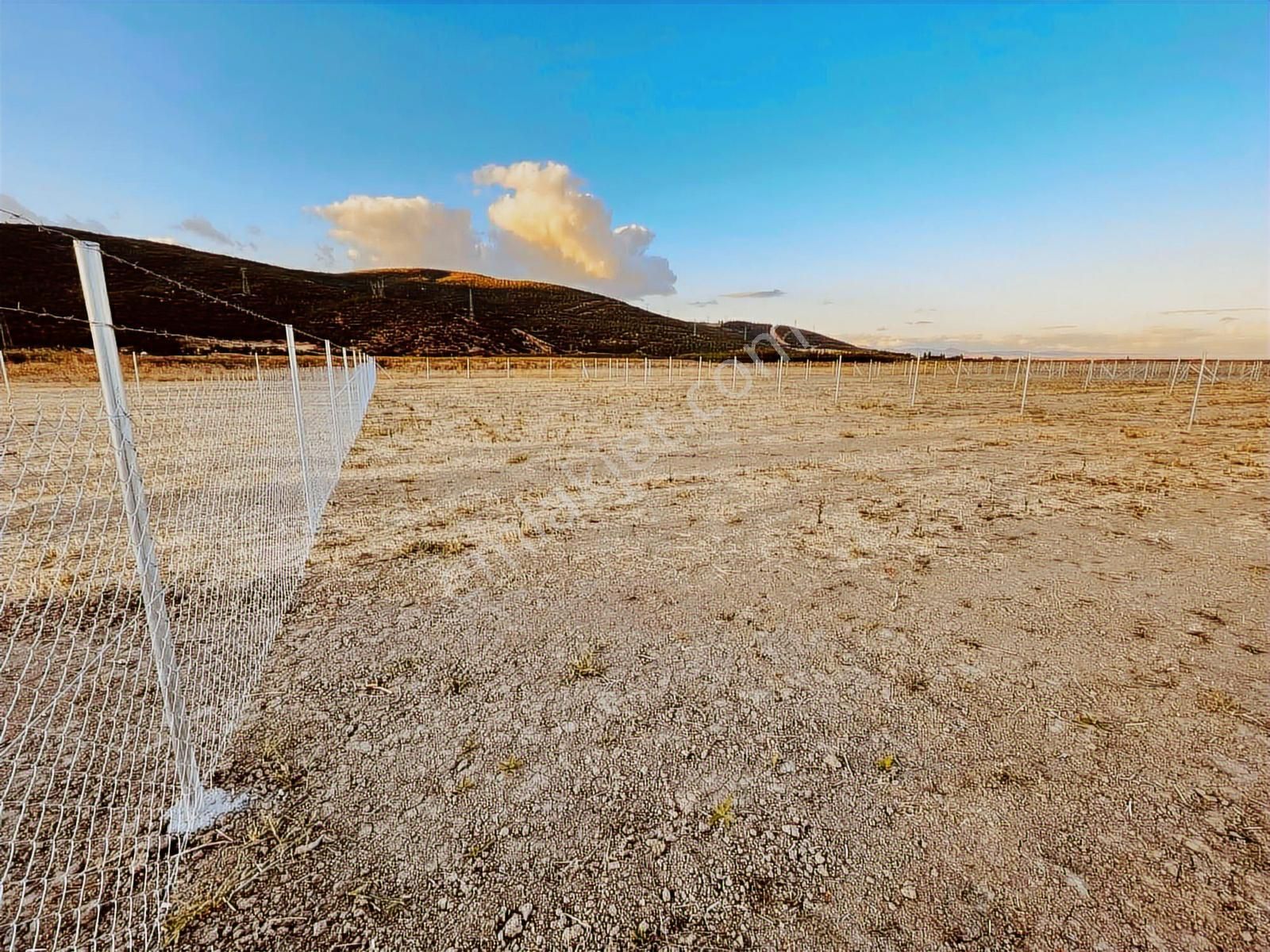 Megakentten Marmaracıkta Resmi Tapulu Hobi Bahçesi - Görsel 4