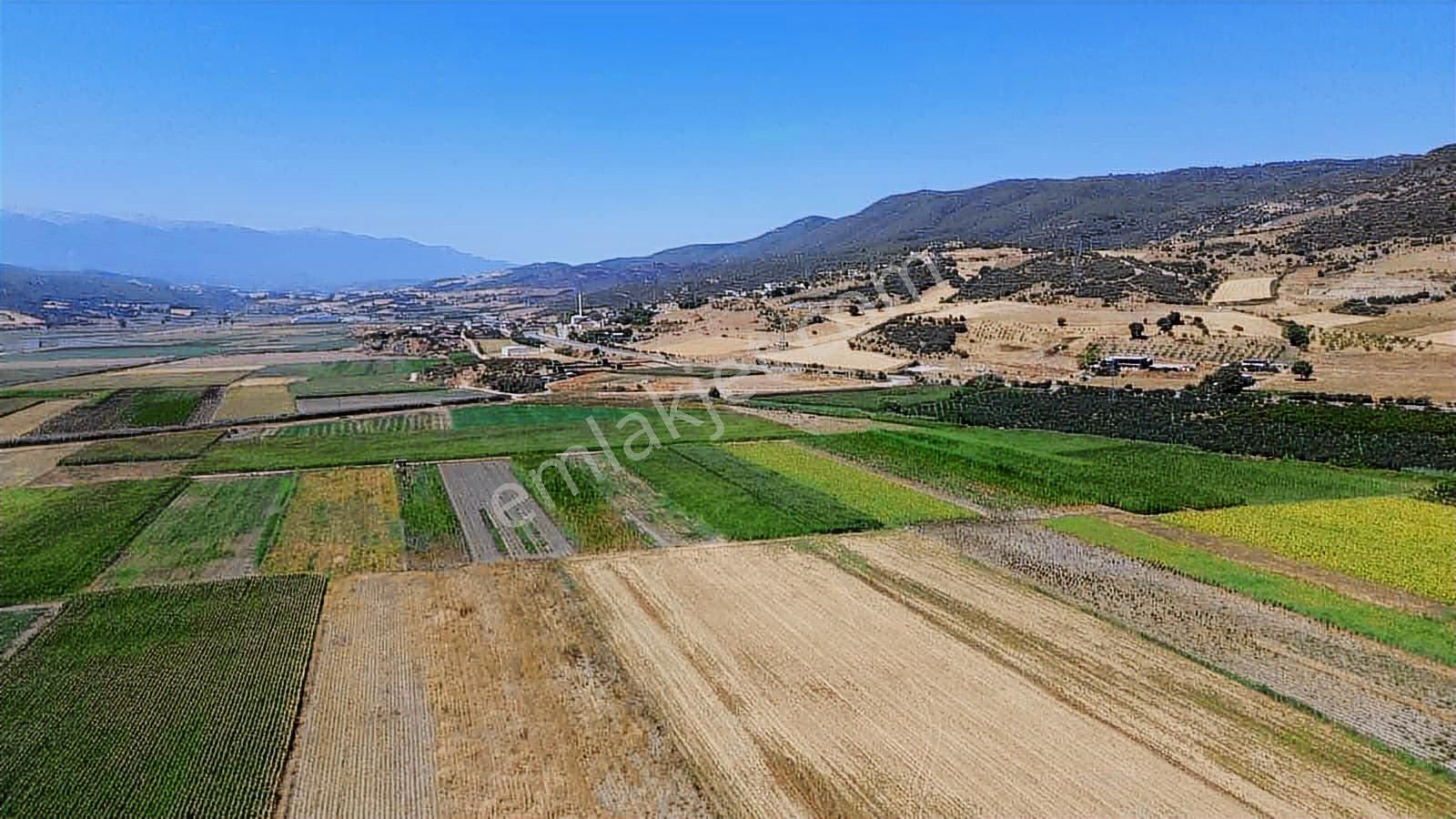 Megakentten Marmaracıkta Resmi Tapulu Hobi Bahçesi - Görsel 14