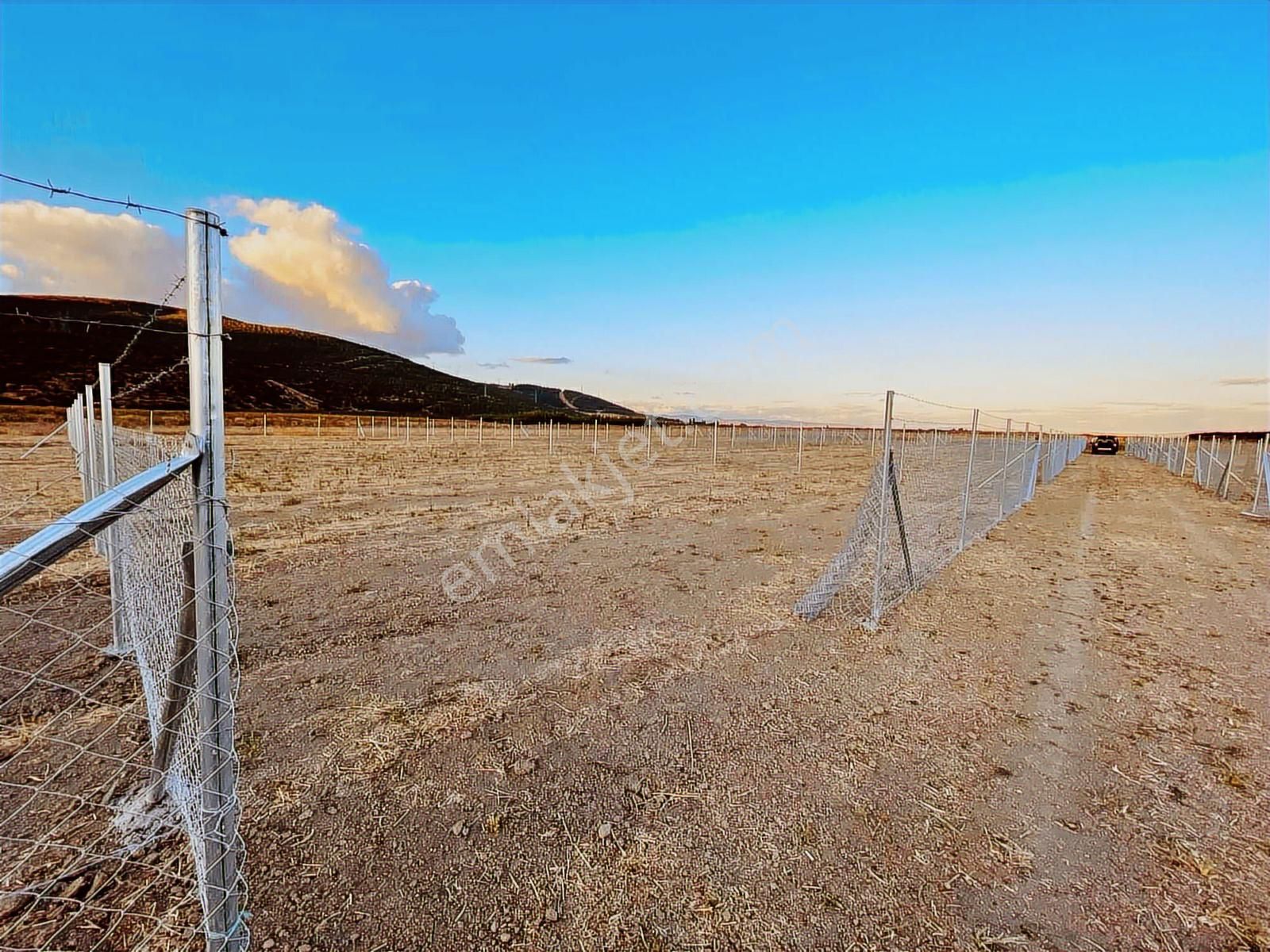 Megakentten Marmaracıkta Resmi Tapulu Hobi Bahçesi - Görsel 12