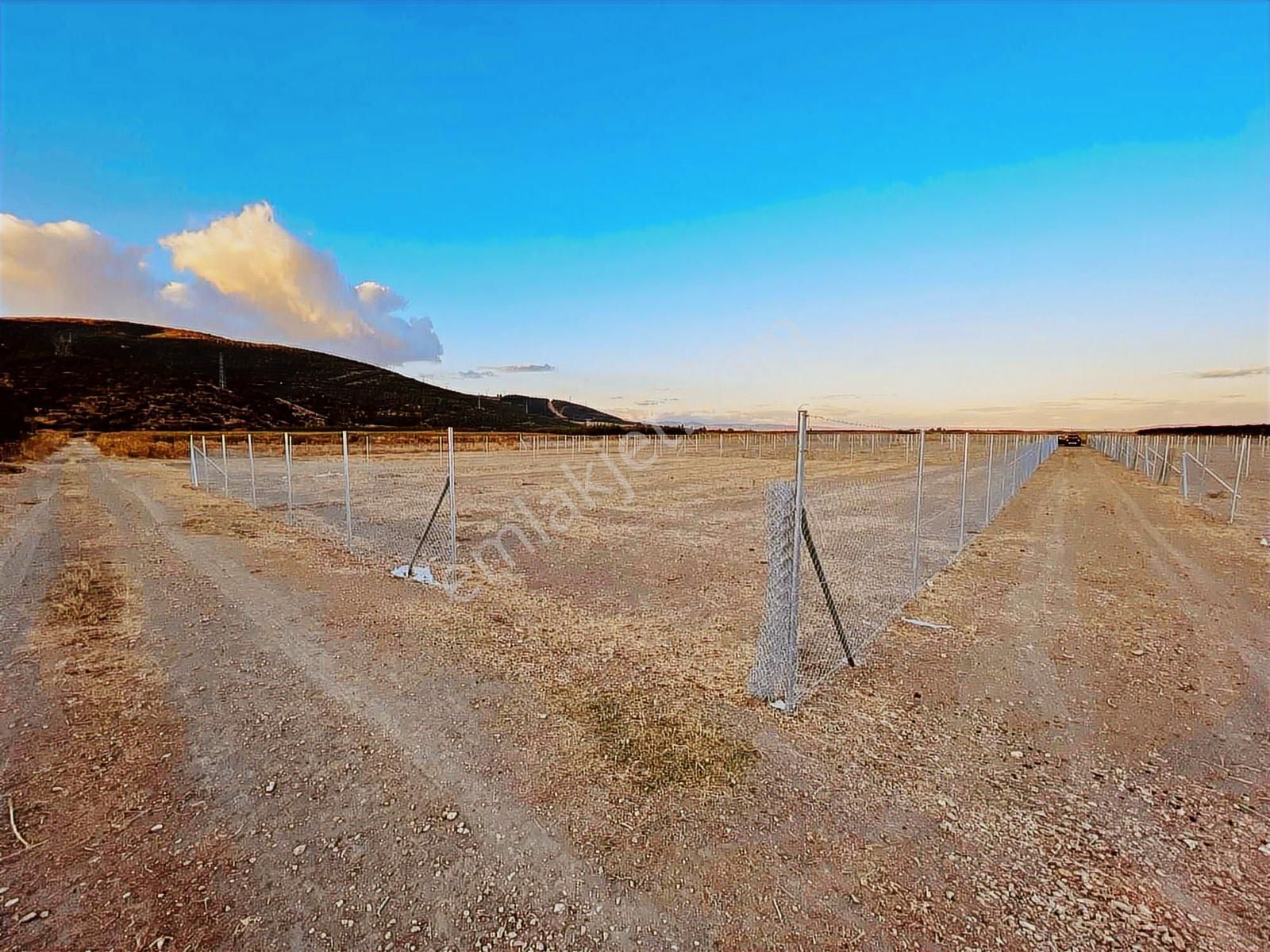 Megakentten Marmaracıkta Resmi Tapulu Hobi Bahçesi - Görsel 14