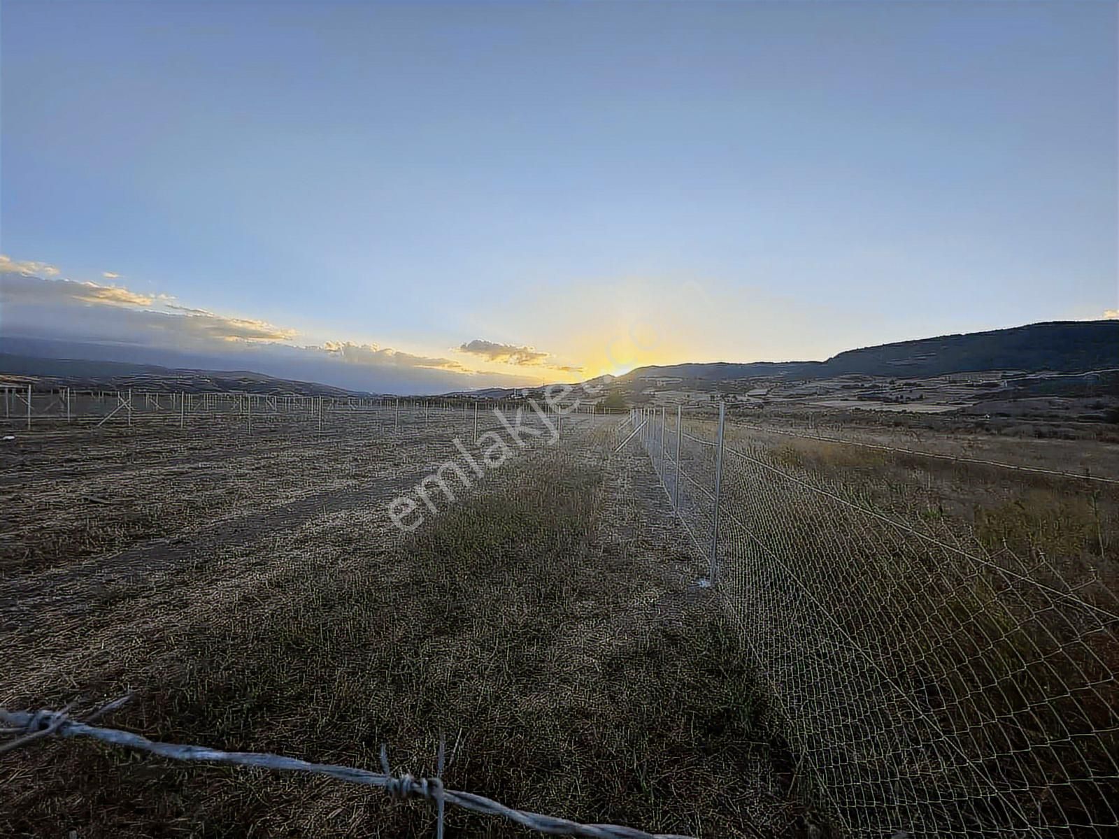 Megakentten Marmaracıkta Resmi Tapulu Hobi Bahçesi - Görsel 6