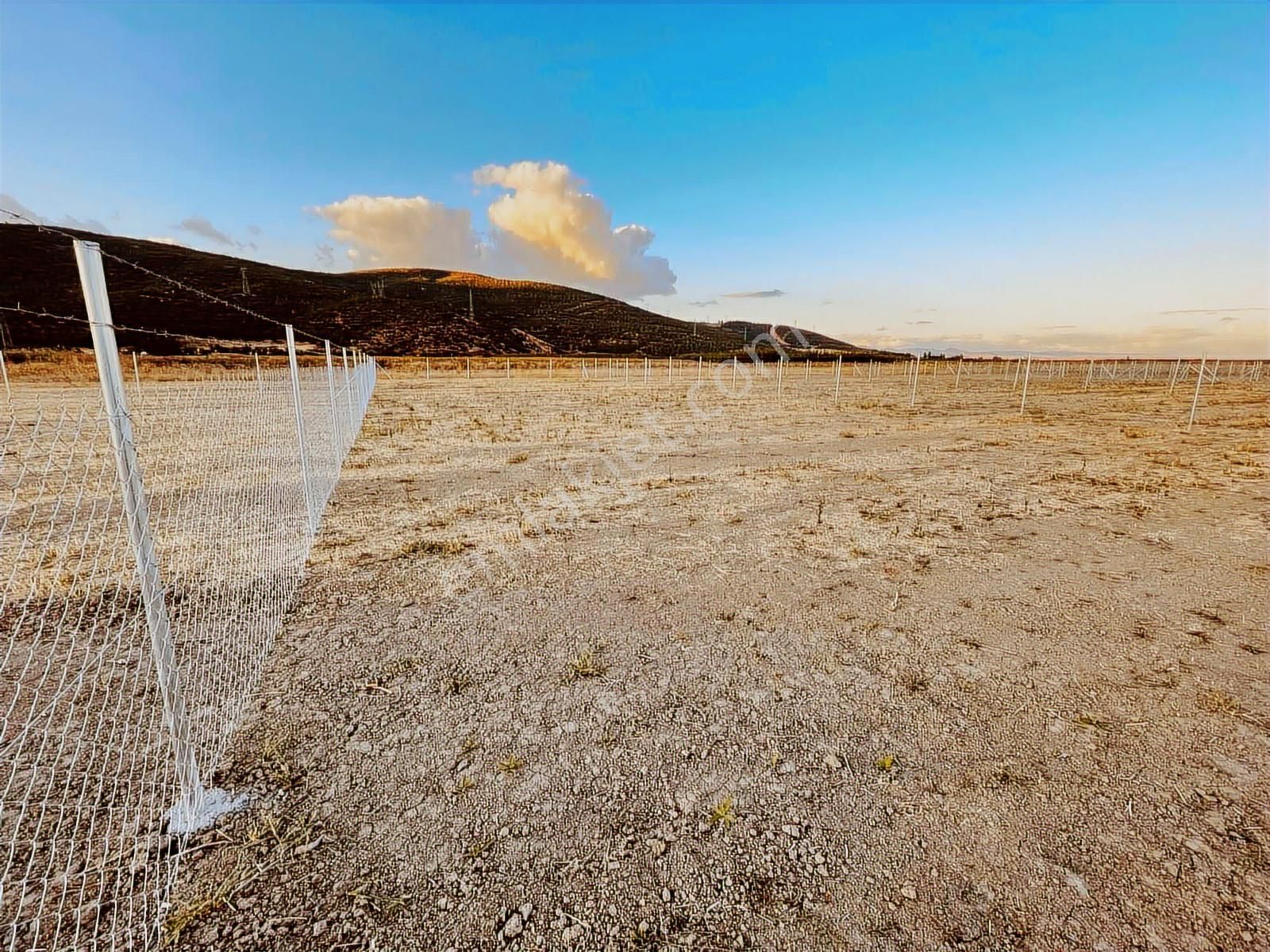 Megakentten Marmaracıkta Resmi Tapulu Hobi Bahçesi - Görsel 9