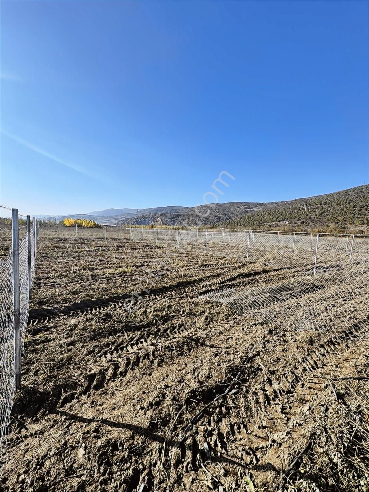 Megakentten Koyunhisarda Resmi Tapulu Hobi Bahçesi - Görsel 9