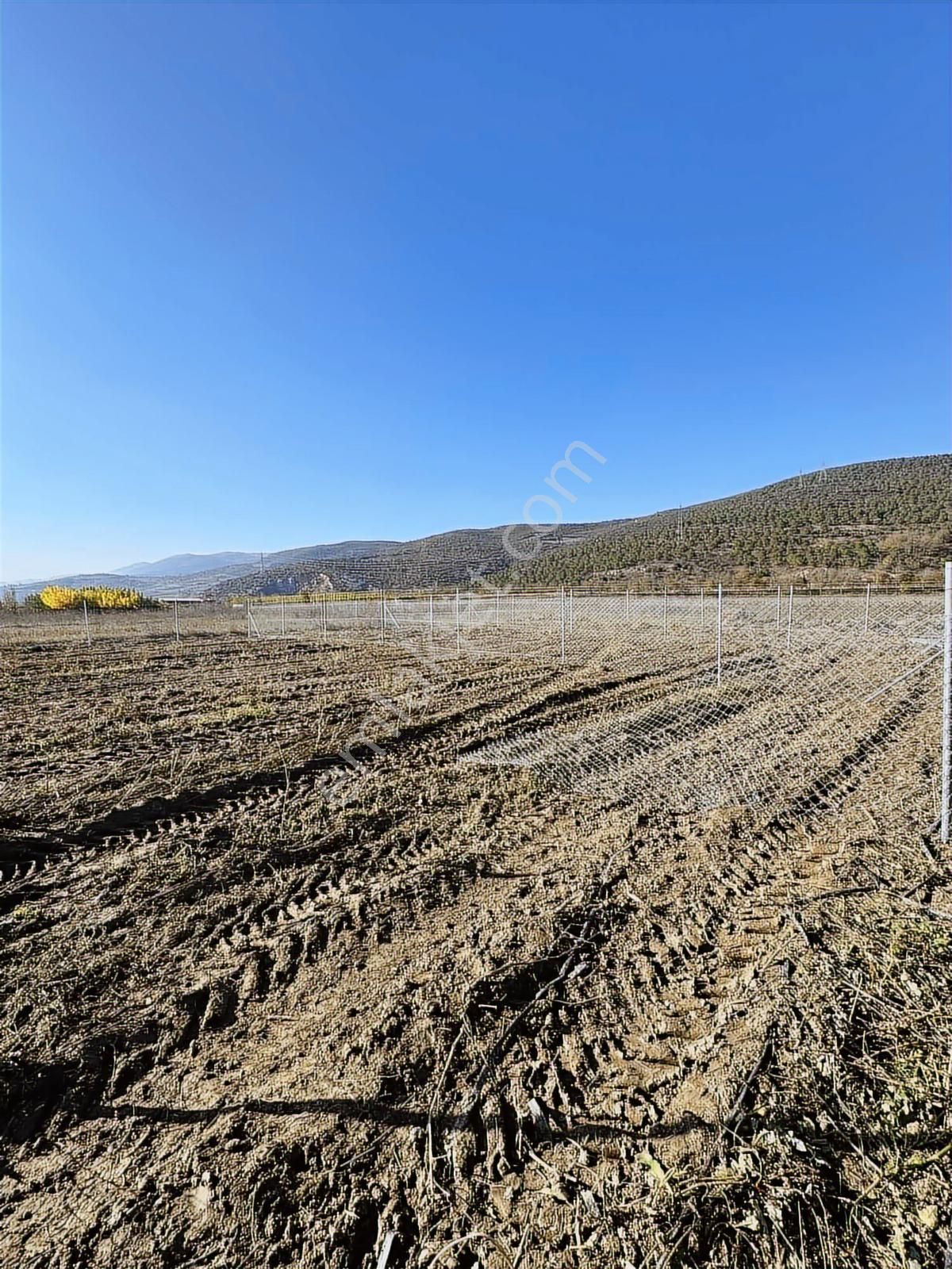 Megakentten Koyunhisarda Resmi Tapulu Hobi Bahçesi - Görsel 5