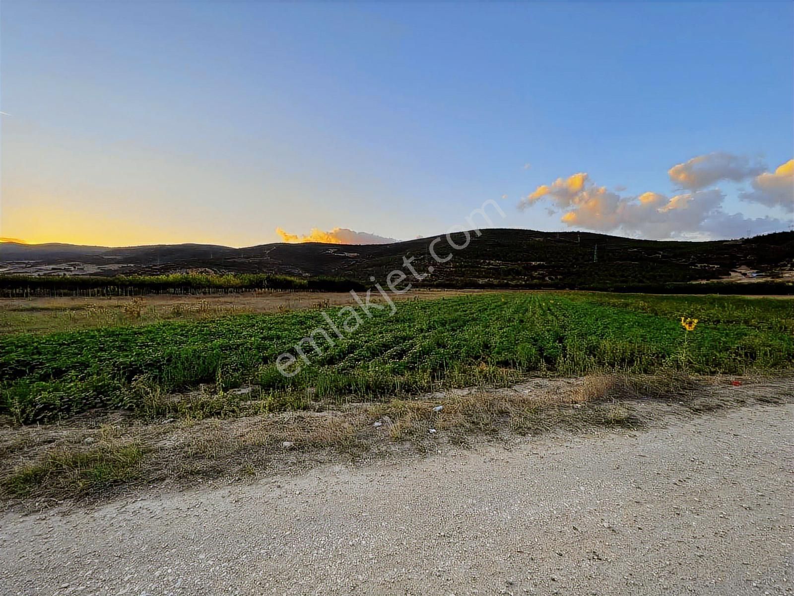 Megakentten Koyunhisarda Resmi Tapulu Hobi Bahçesi - Görsel 4