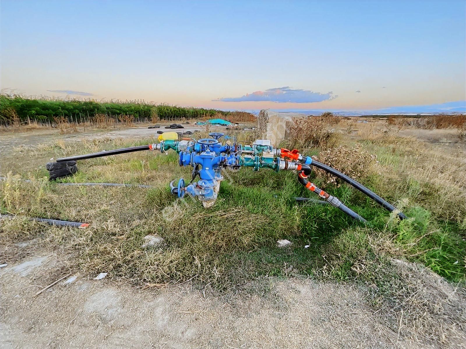 Megakentten Koyunhisarda Resmi Tapulu Hobi Bahçesi - Görsel 10