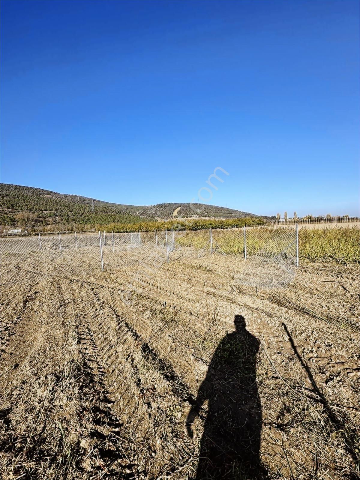 Megakentten Koyunhisarda Resmi Tapulu Hobi Bahçesi - Görsel 7
