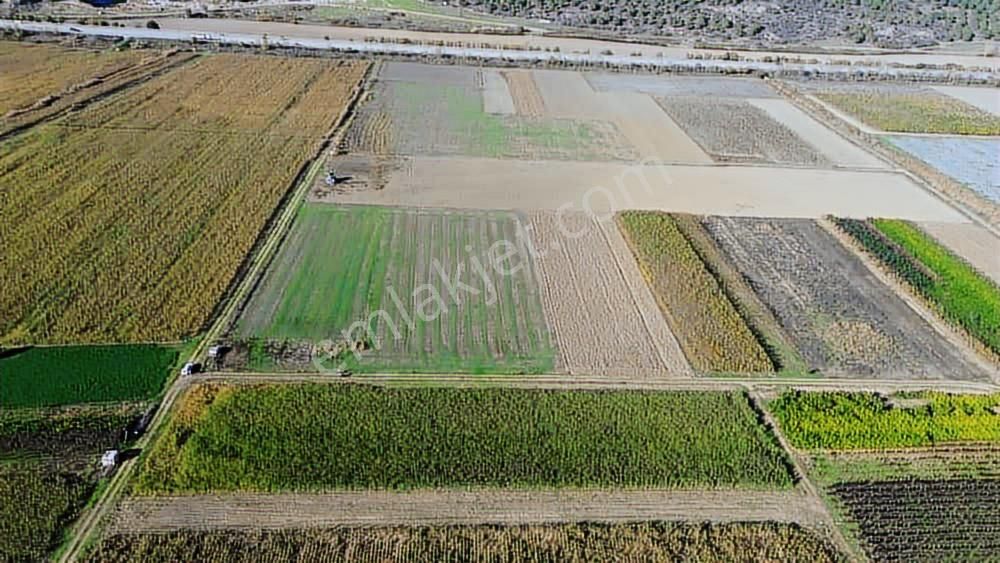 Megakent'ten Koyunhisar'da Farklı M²'lerde Hobi Bahçeleri - Görsel 9