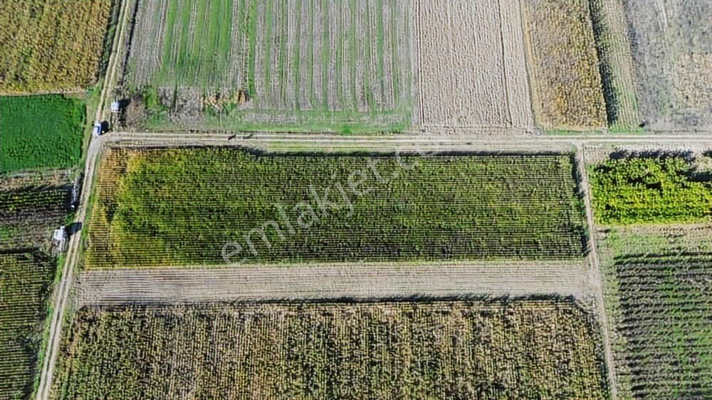 Megakent'ten Koyunhisar'da Farklı M²'lerde Hobi Bahçeleri - Görsel 15
