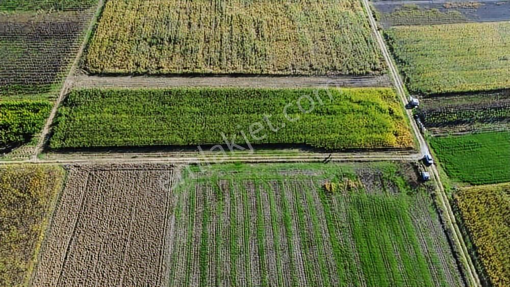 Megakent'ten Koyunhisar'da Farklı M²'lerde Hobi Bahçeleri - Görsel 12