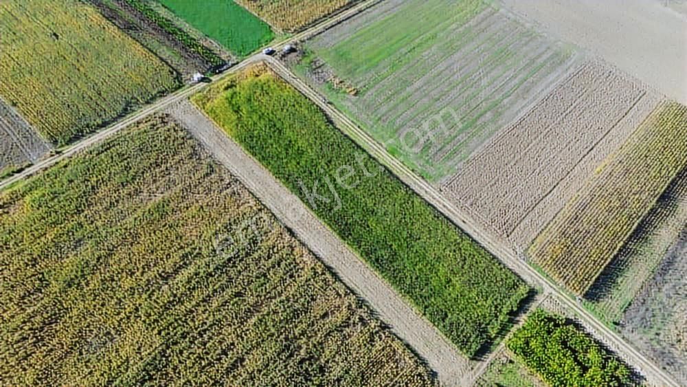 Megakent'ten Koyunhisar'da Farklı M²'lerde Hobi Bahçeleri - Görsel 4