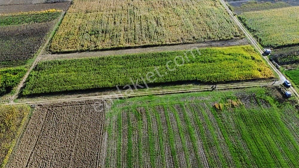Megakent'ten Koyunhisar'da Farklı M²'lerde Hobi Bahçeleri - Görsel 13