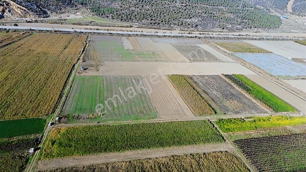 Megakent'ten Koyunhisar'da Farklı M²'lerde Hobi Bahçeleri - Görsel 14