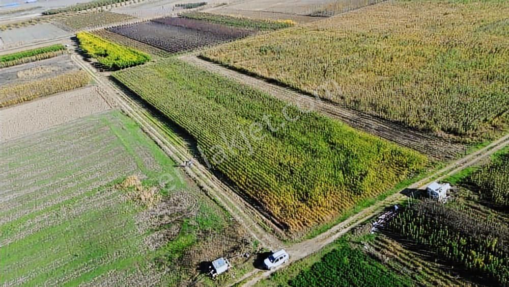 Megakent'ten Koyunhisar'da Farklı M²'lerde Hobi Bahçeleri - Görsel 16