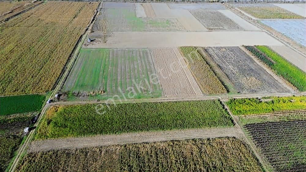 Megakent'ten Koyunhisar'da Farklı M²'lerde Hobi Bahçeleri - Görsel 10