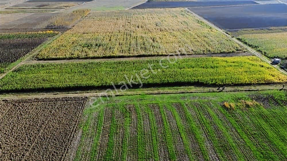 Megakent'ten Koyunhisar'da Farklı M²'lerde Hobi Bahçeleri - Görsel 7