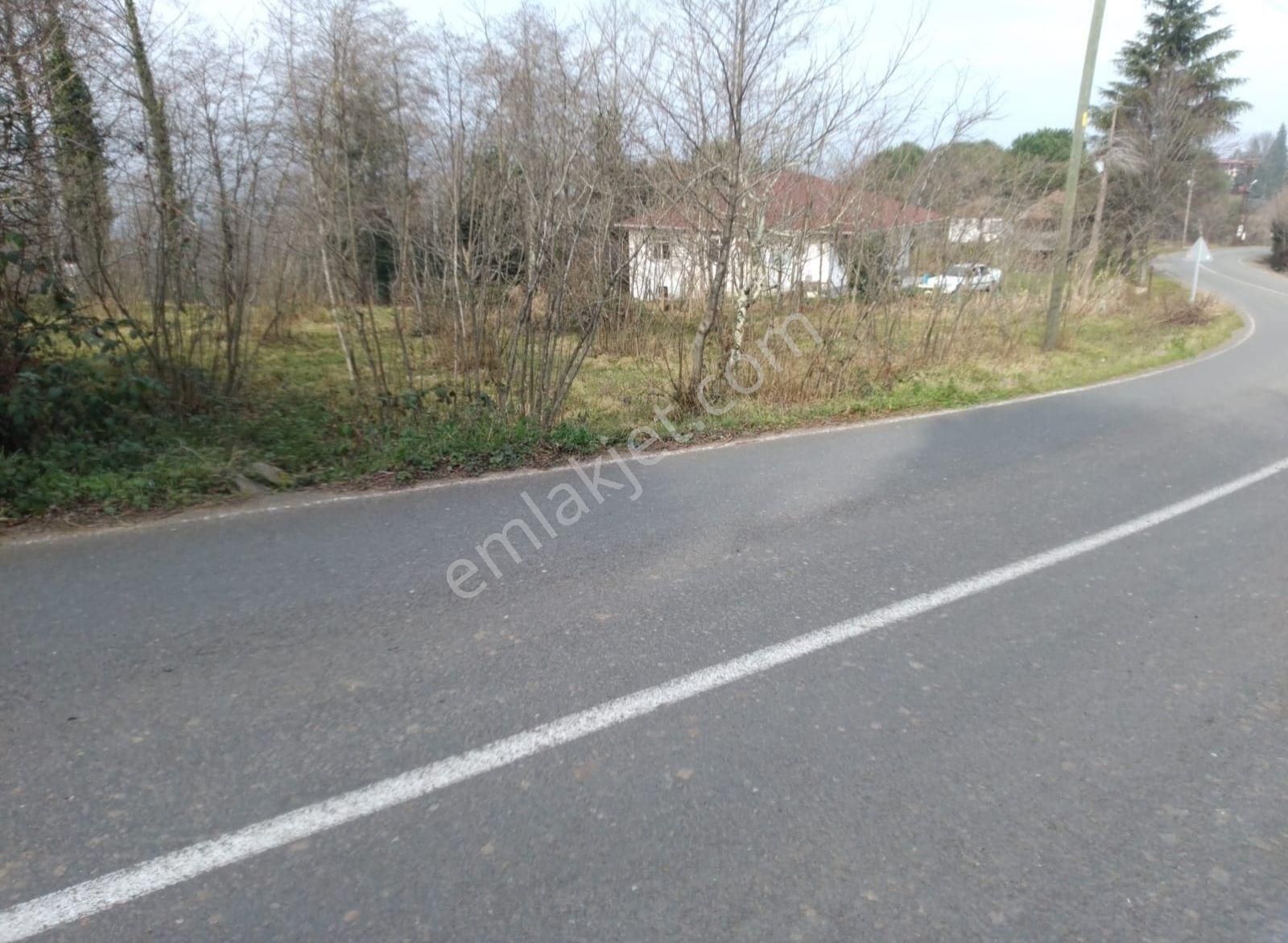 Perşembe Töngeldüzü Mah.de Anayola Cephe Tapulu Arsa - Görsel 5