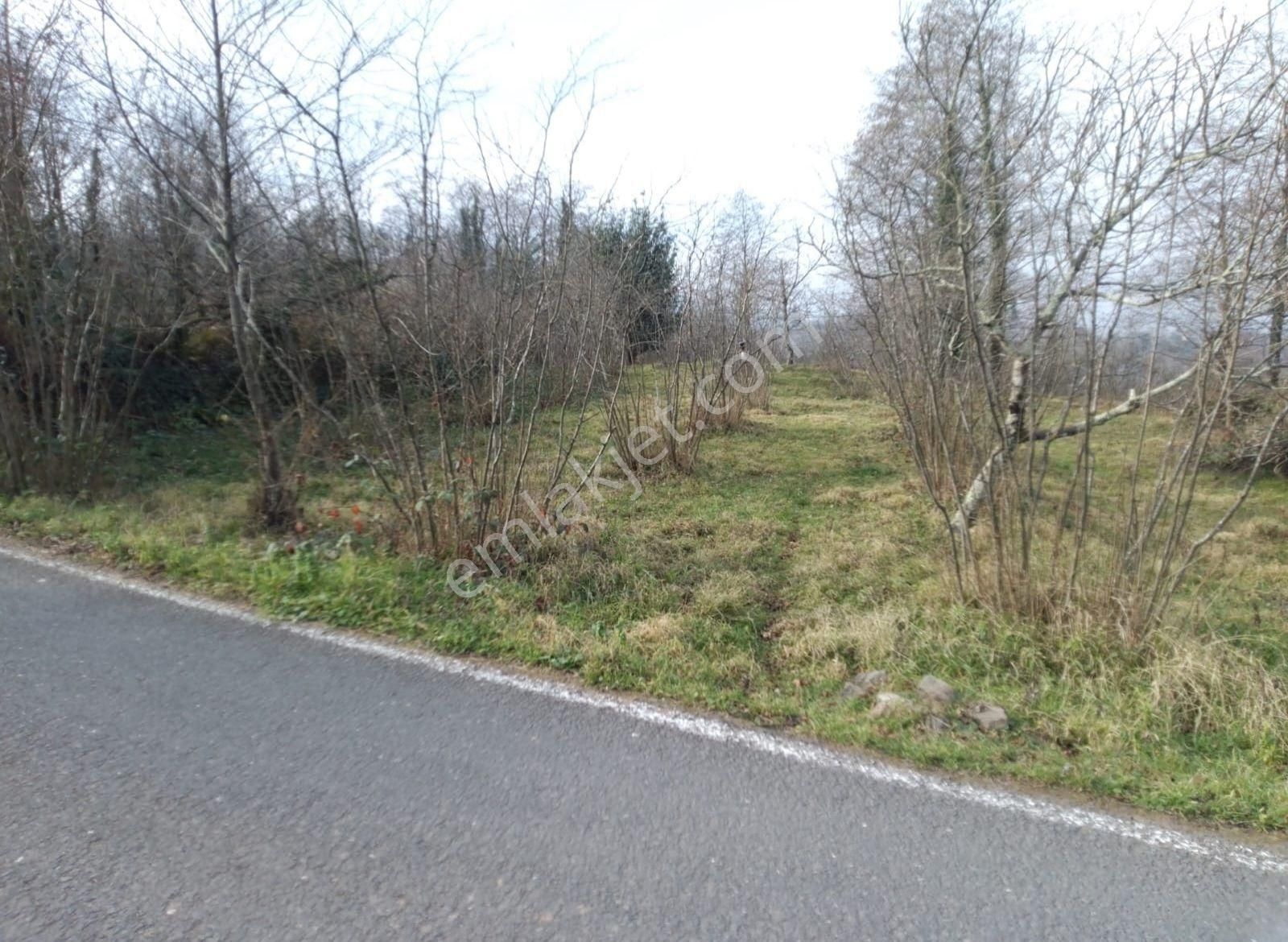 Perşembe Töngeldüzü Mah.de Anayola Cephe Tapulu Arsa