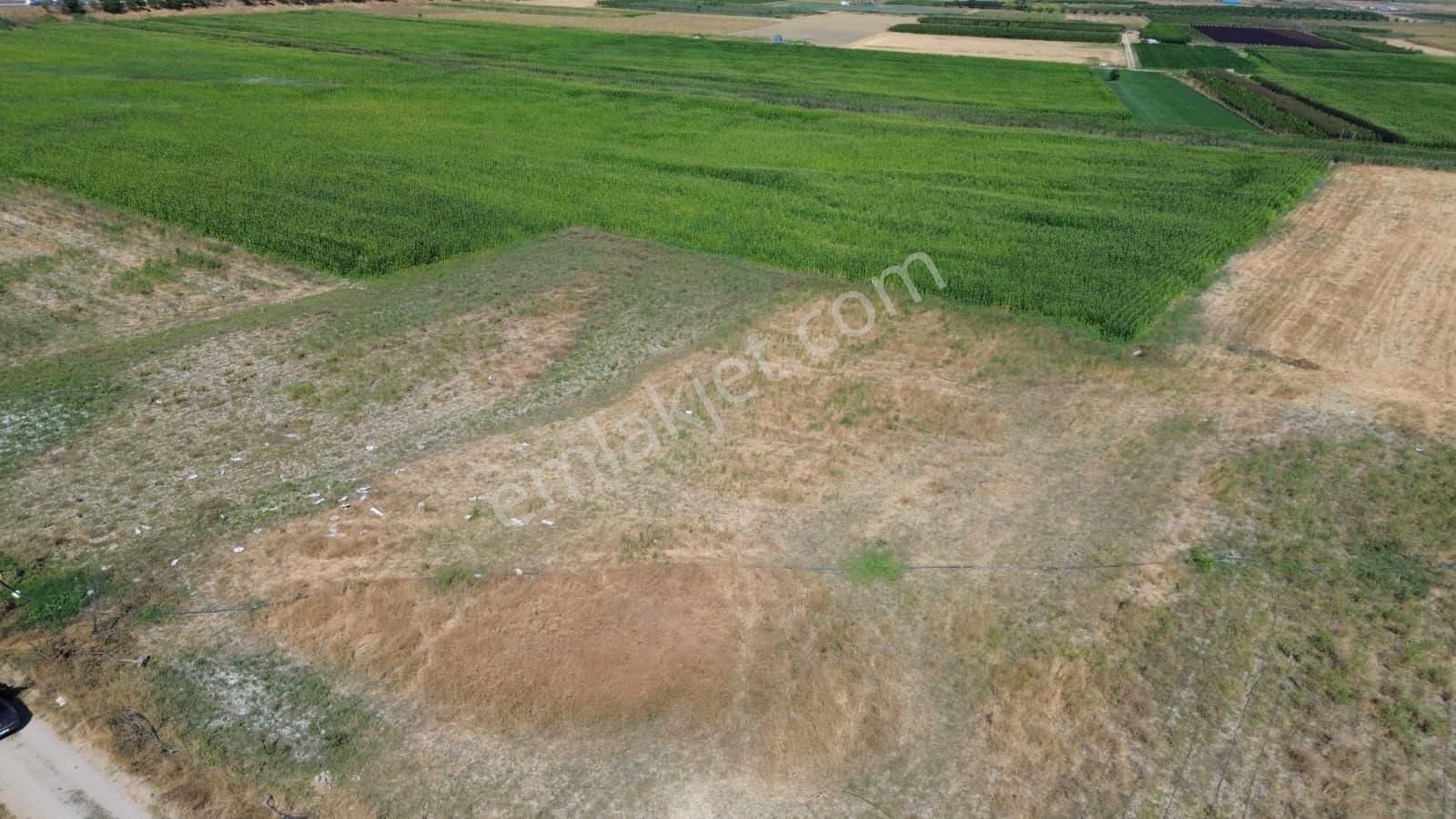 Megakent'ten Yenişehir Marmaracık'da Satılık 3.831m² Tarla - Görsel 8