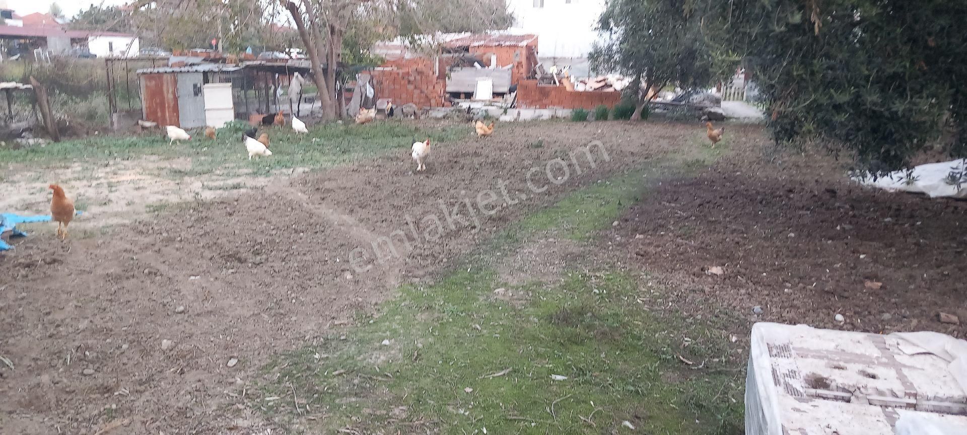 Muğla Dalamanda Merkezde Satılık Arsa - Görsel 5