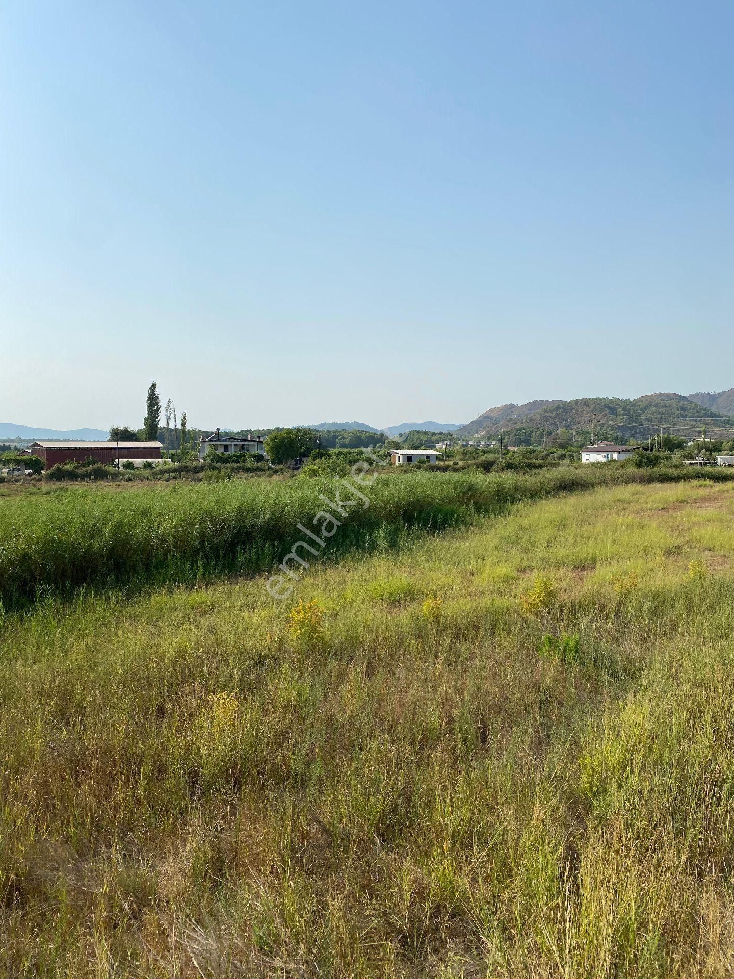 Muğla Dalaman Gürköyde Merkezde Satılık Yatırımlik Nar Bahçesi - Görsel 9