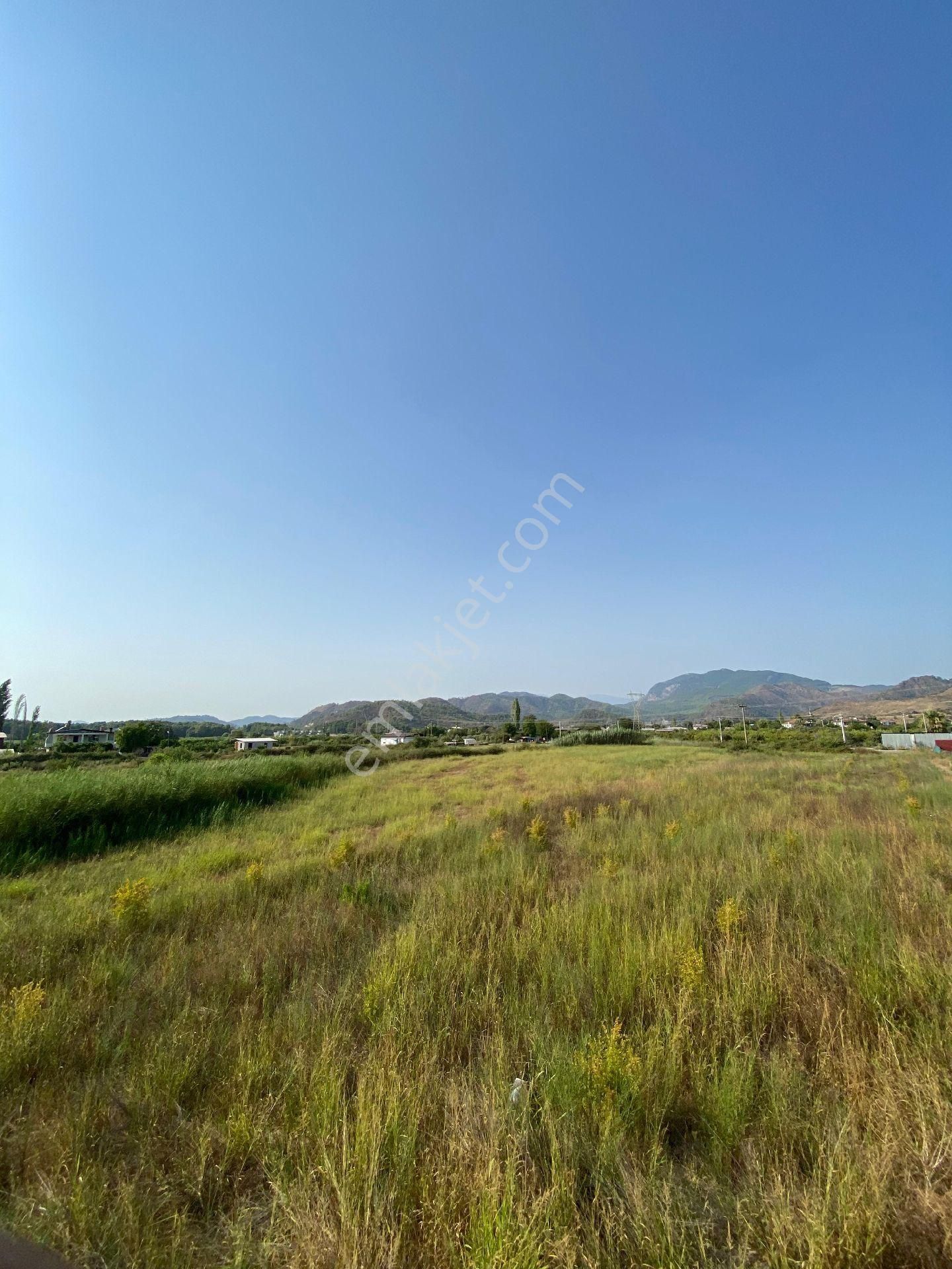 Muğla Dalaman Gürköyde Merkezde Satılık Yatırımlik Nar Bahçesi - Görsel 3