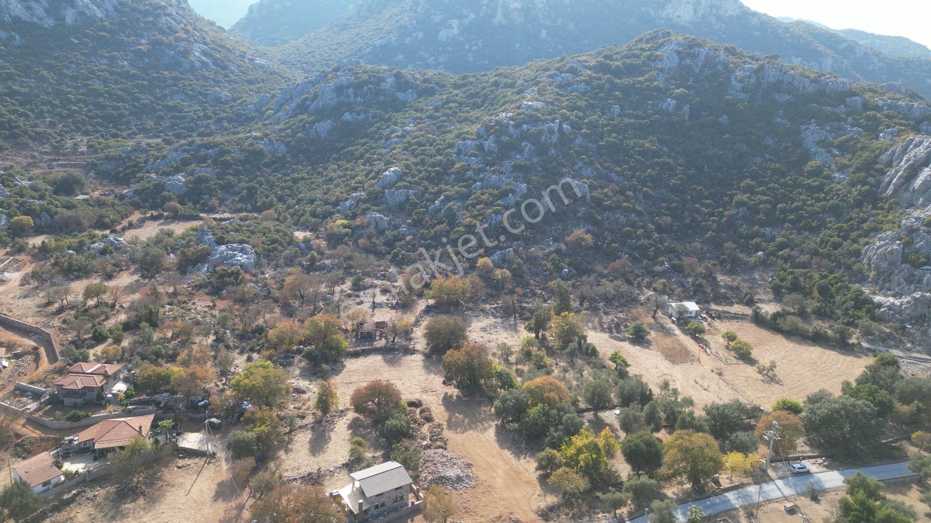 Joker: Marmaris Selimiye Tapuya Kayıtlı Köy Evi Ve Tarlası - Görsel 10