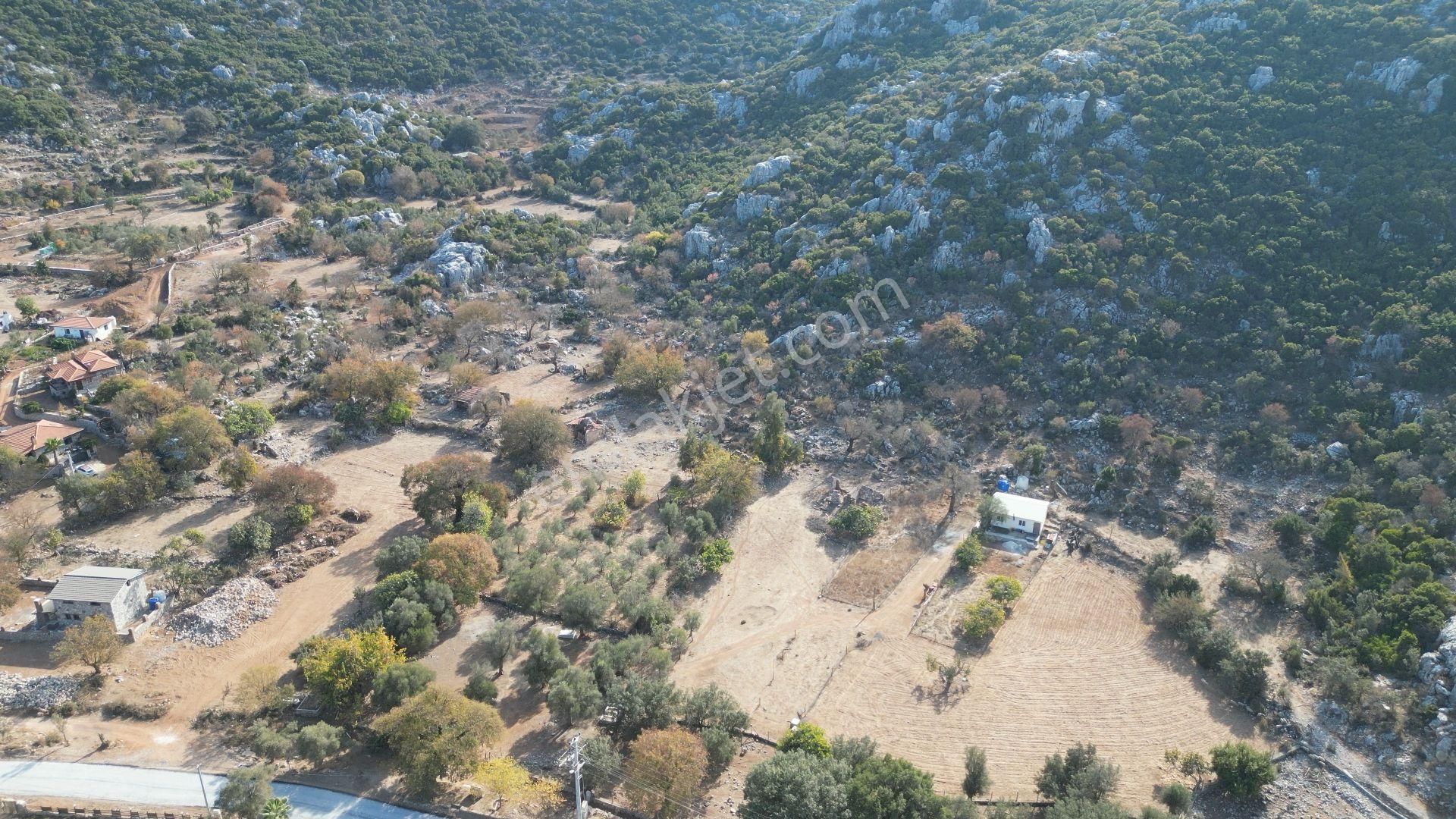 Joker: Marmaris Selimiye Tapuya Kayıtlı Köy Evi Ve Tarlası - Görsel 17