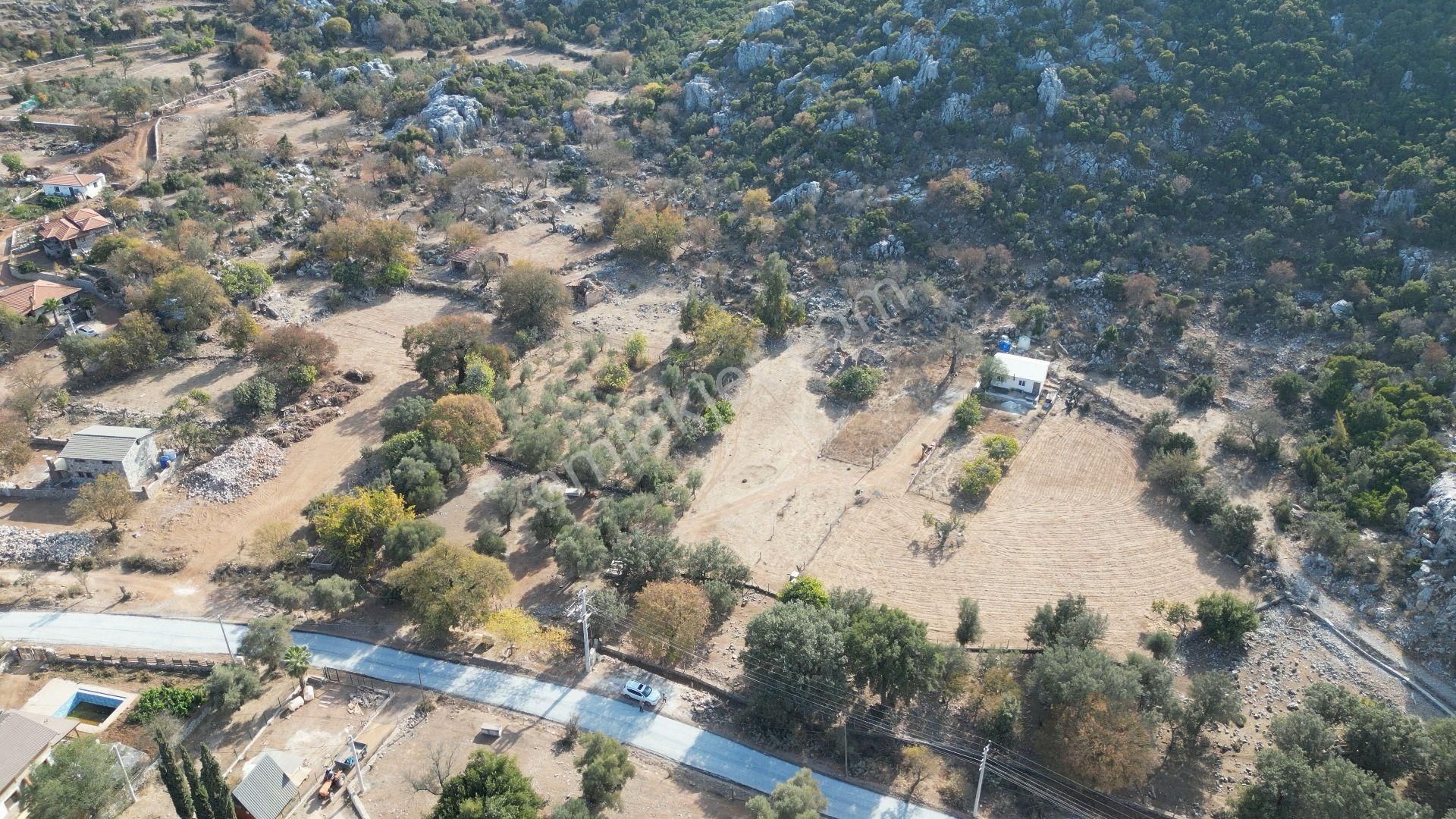 Joker: Marmaris Selimiye Tapuya Kayıtlı Köy Evi Ve Tarlası - Görsel 14