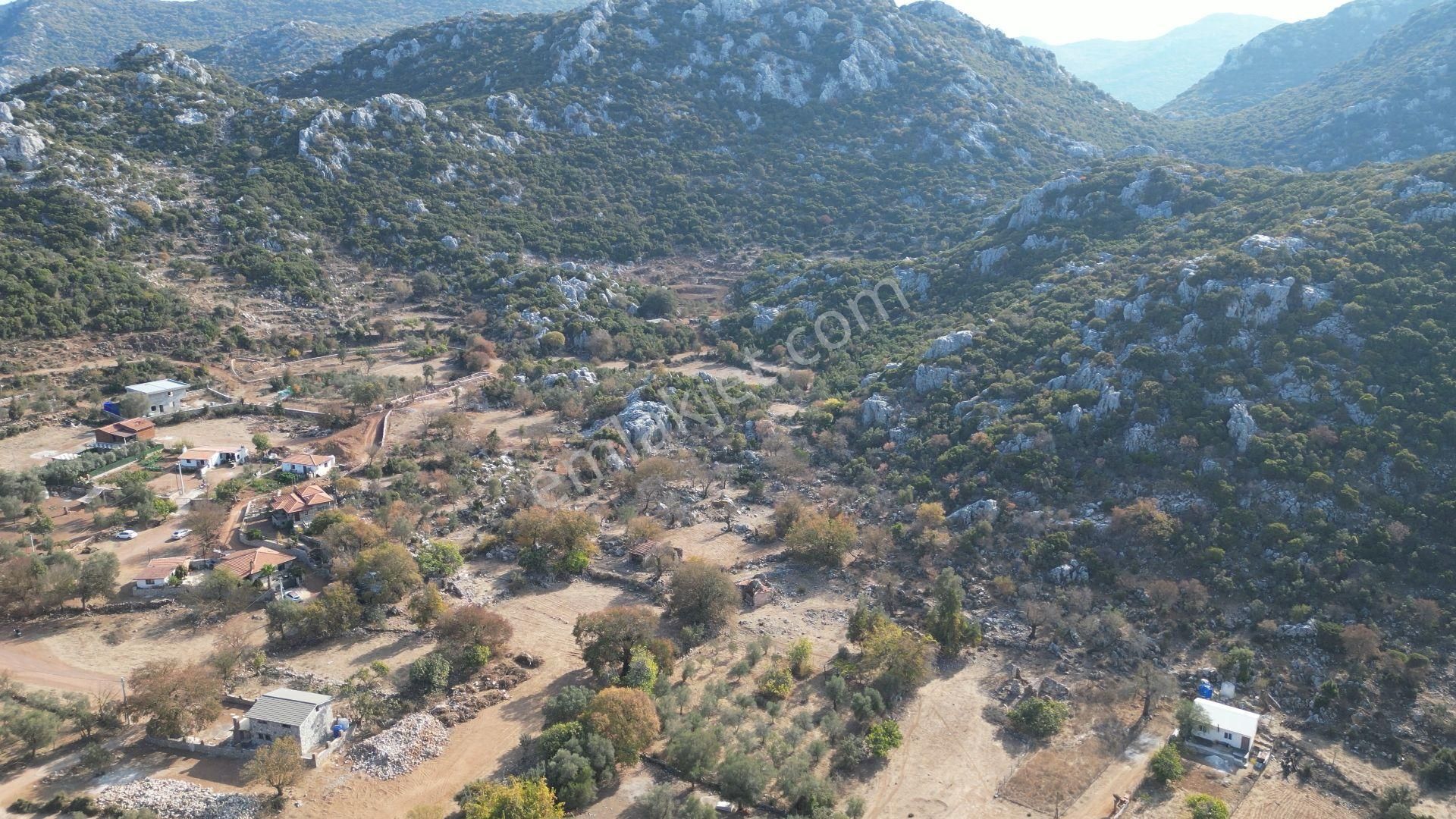 Joker: Marmaris Selimiye Tapuya Kayıtlı Köy Evi Ve Tarlası - Görsel 16