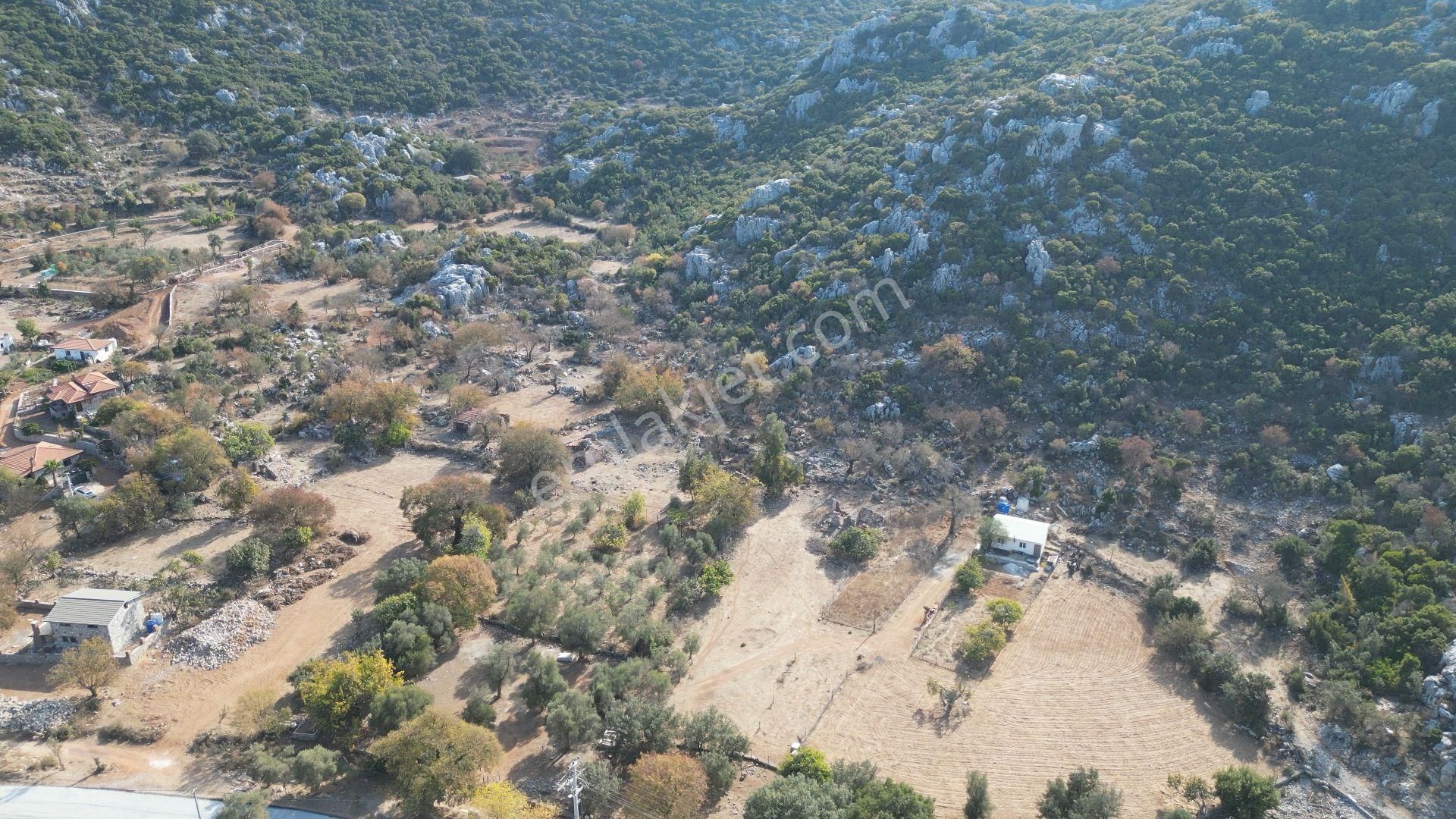 Joker: Marmaris Selimiye Tapuya Kayıtlı Köy Evi Ve Tarlası - Görsel 19