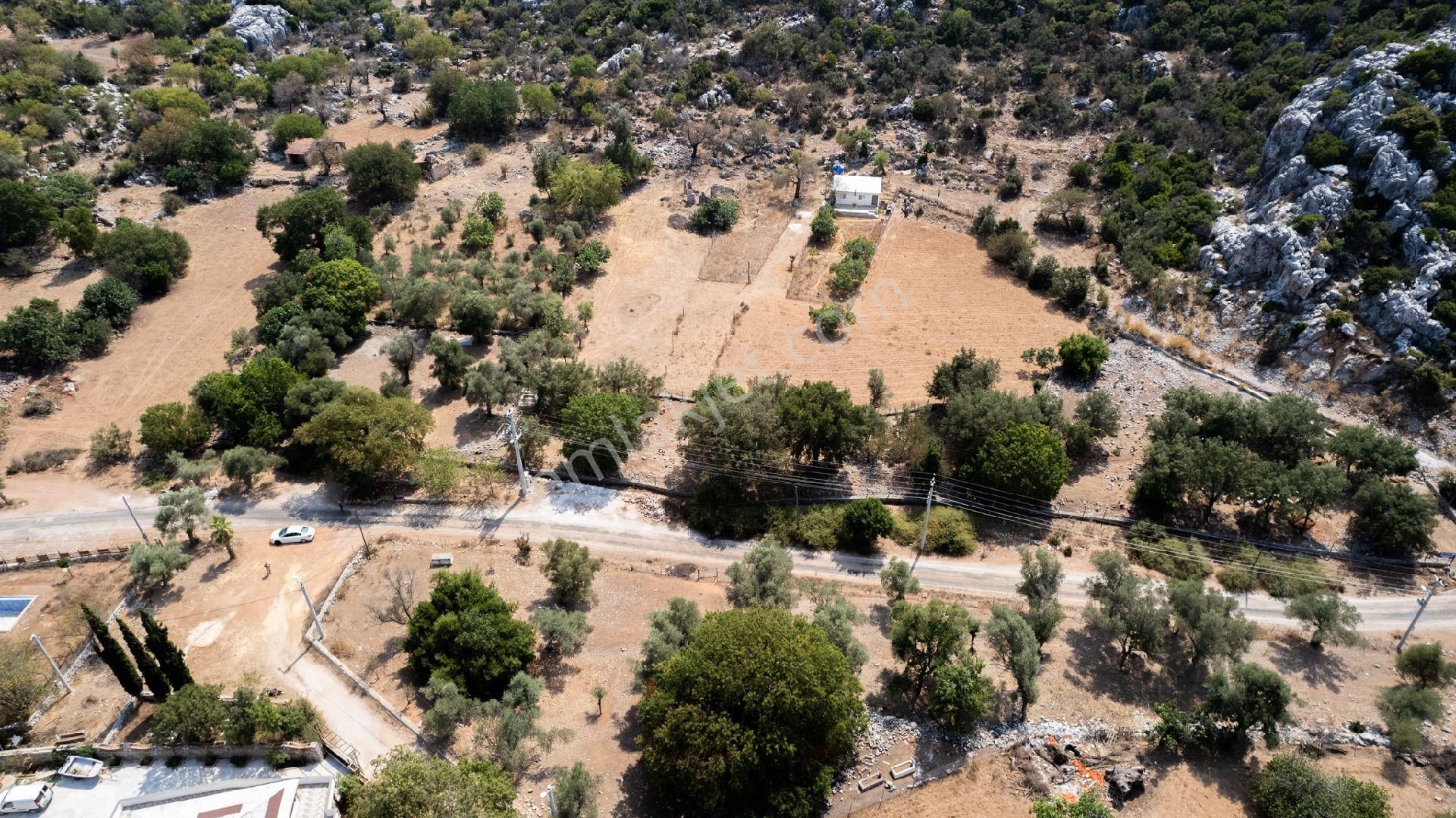 Joker: Marmaris Selimiye Tapuya Kayıtlı Köy Evi Ve Tarlası - Görsel 13