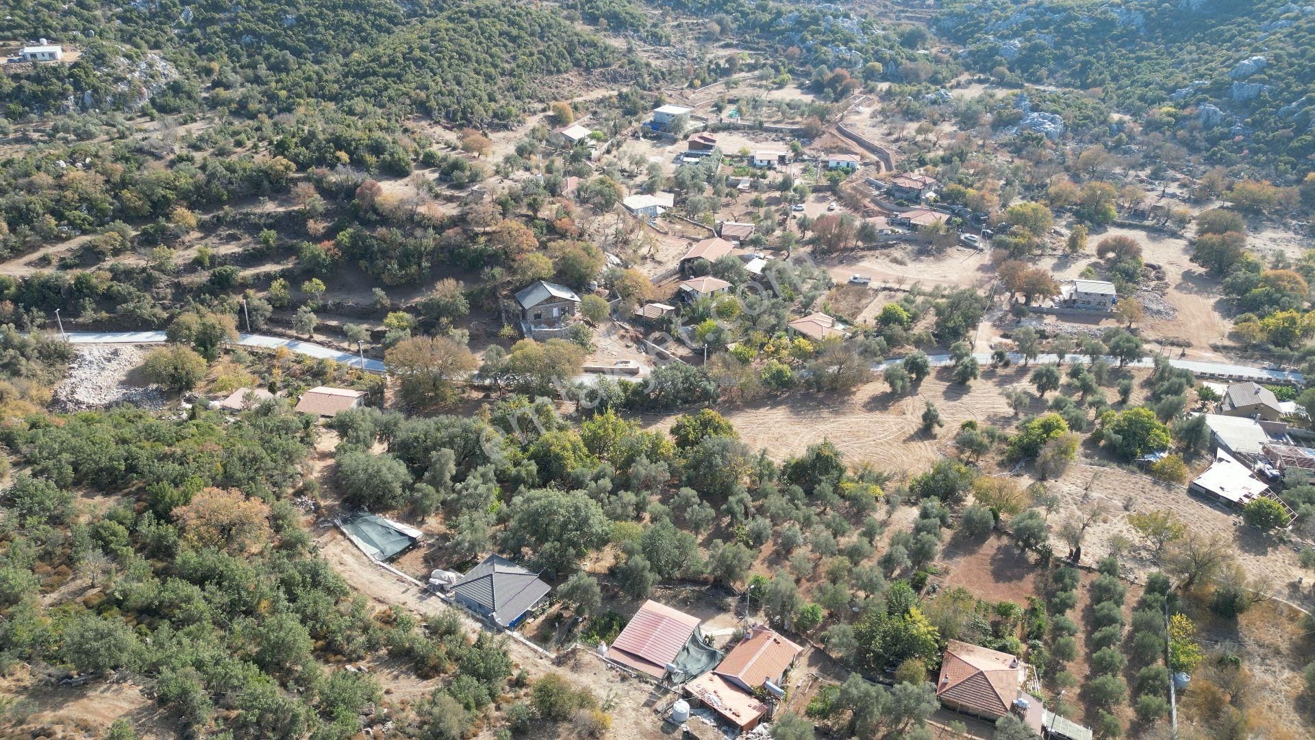 Joker: Marmaris Selimiye Tapuya Kayıtlı Köy Evi Ve Tarlası - Görsel 7